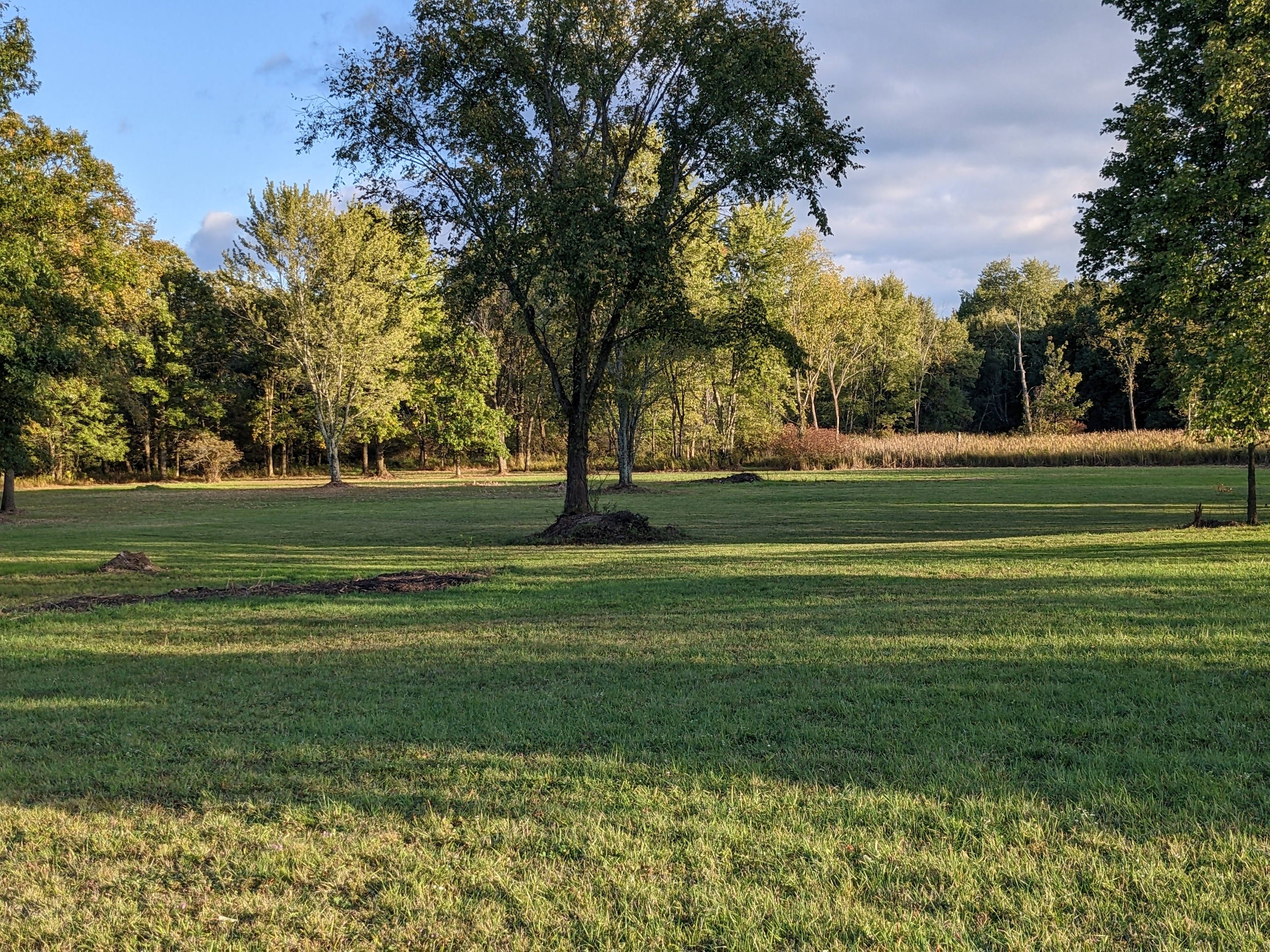 Eighteen Acres, In Grove City