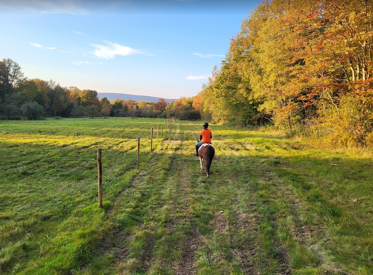 Fall colours & a view of the North Mountain - pure bliss! 