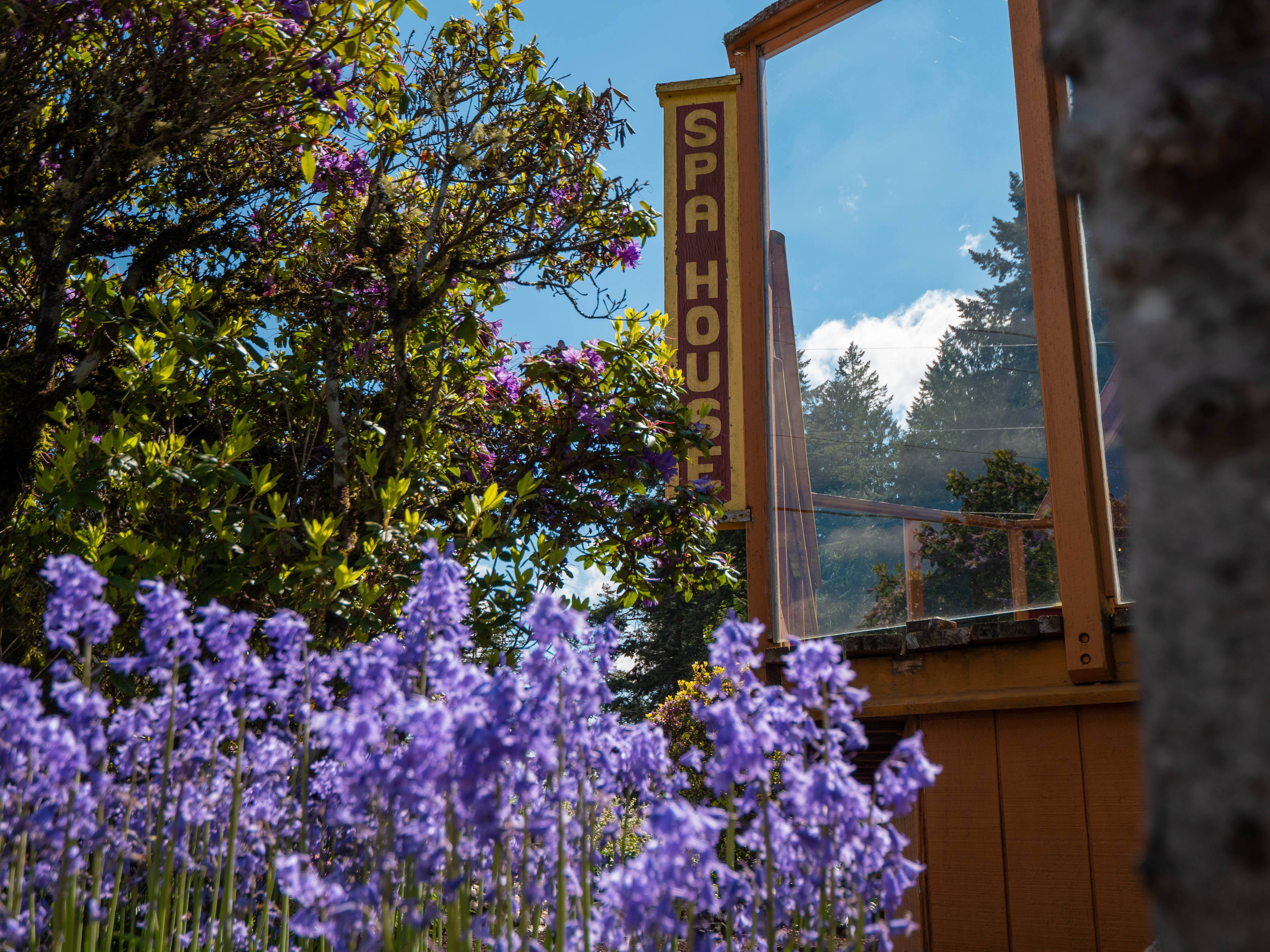 The Glen - Olympic Peninsula RV