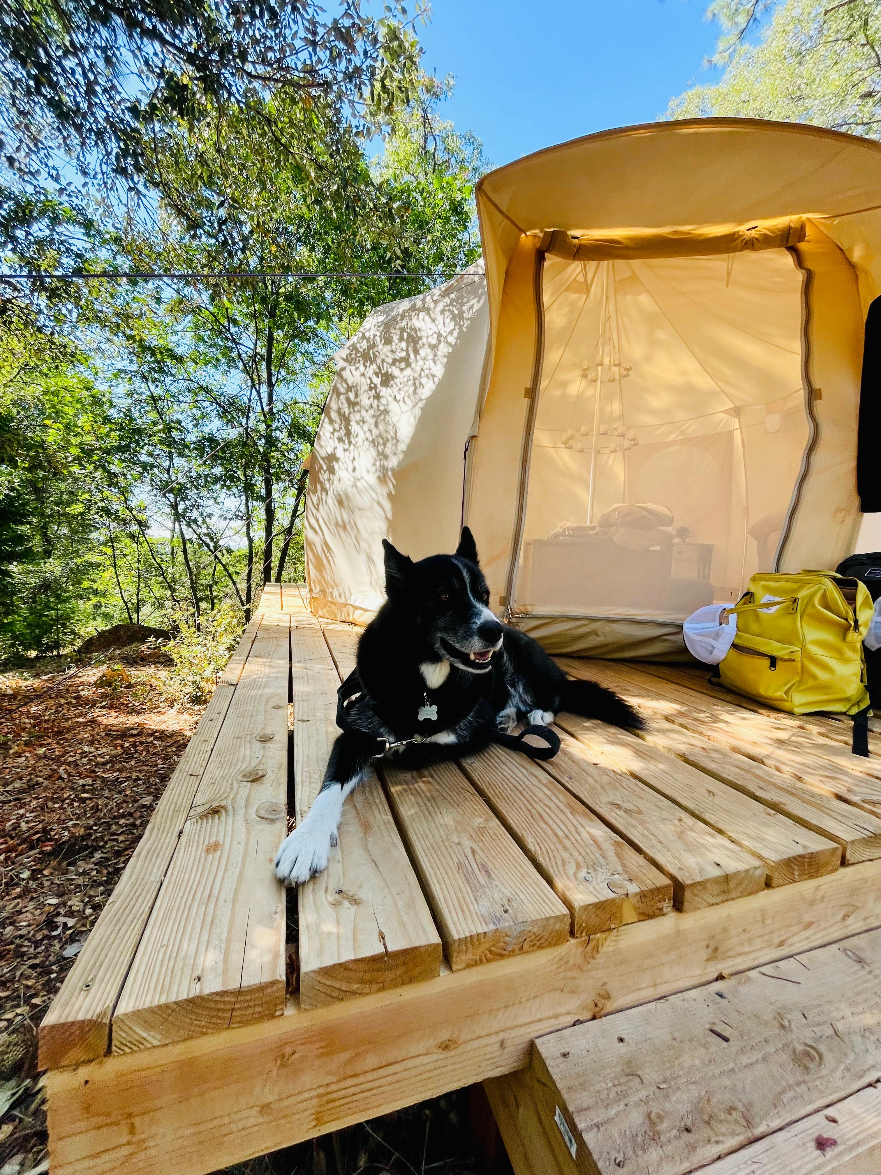 Starry Hot Tub/Cold Plunge Glamping