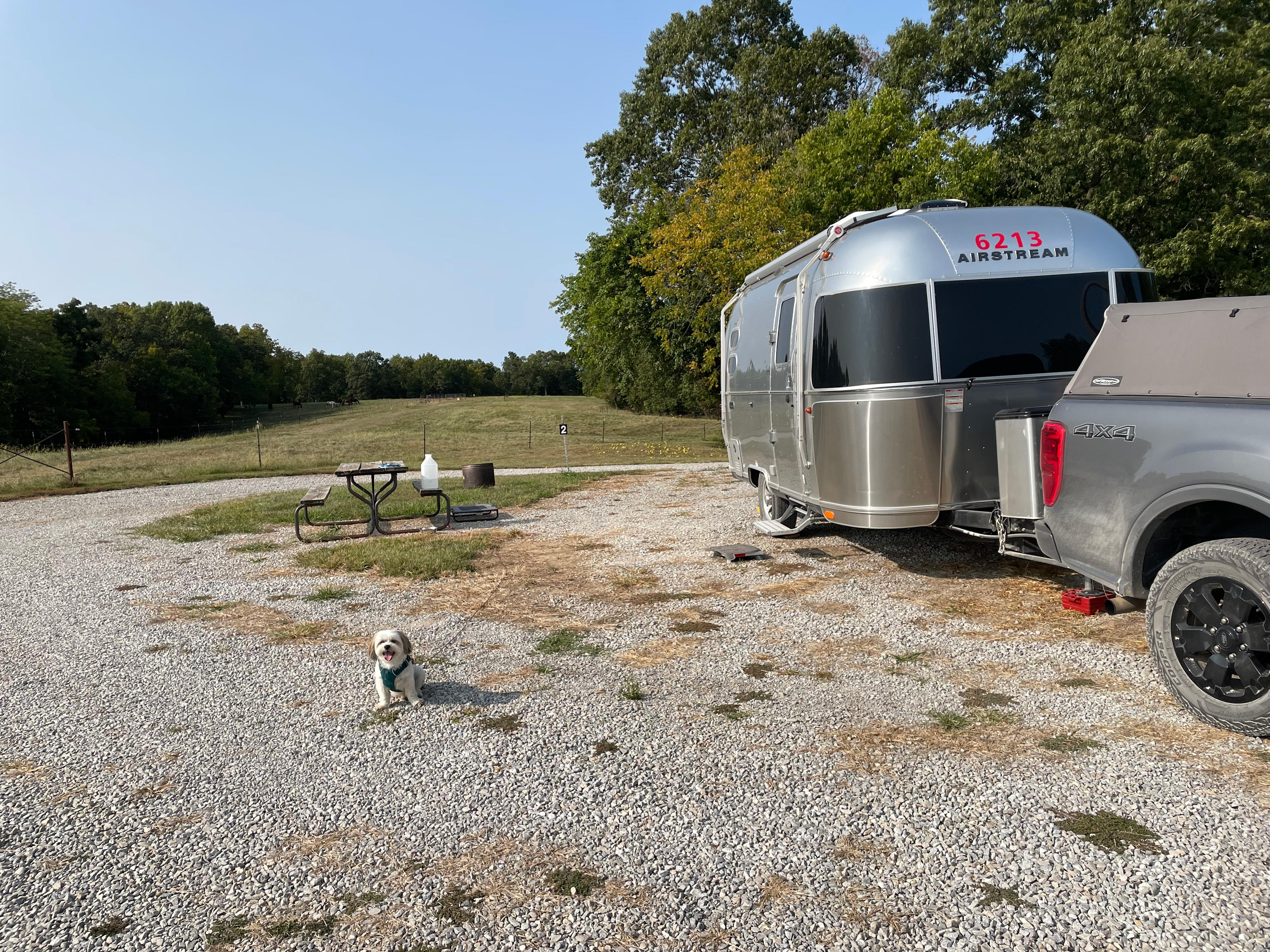 Selby Horse Farm Camping