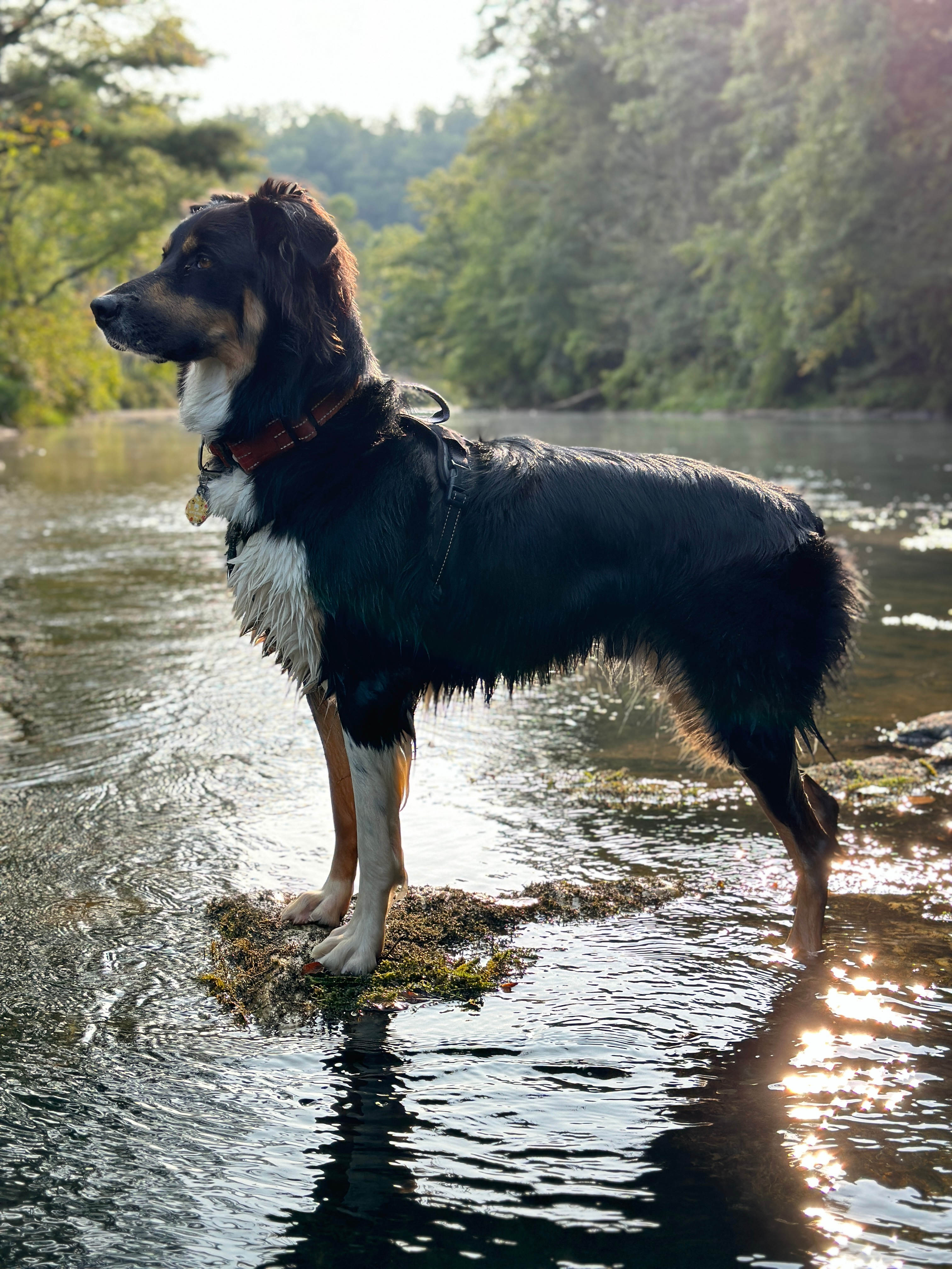 Hidden River Experience