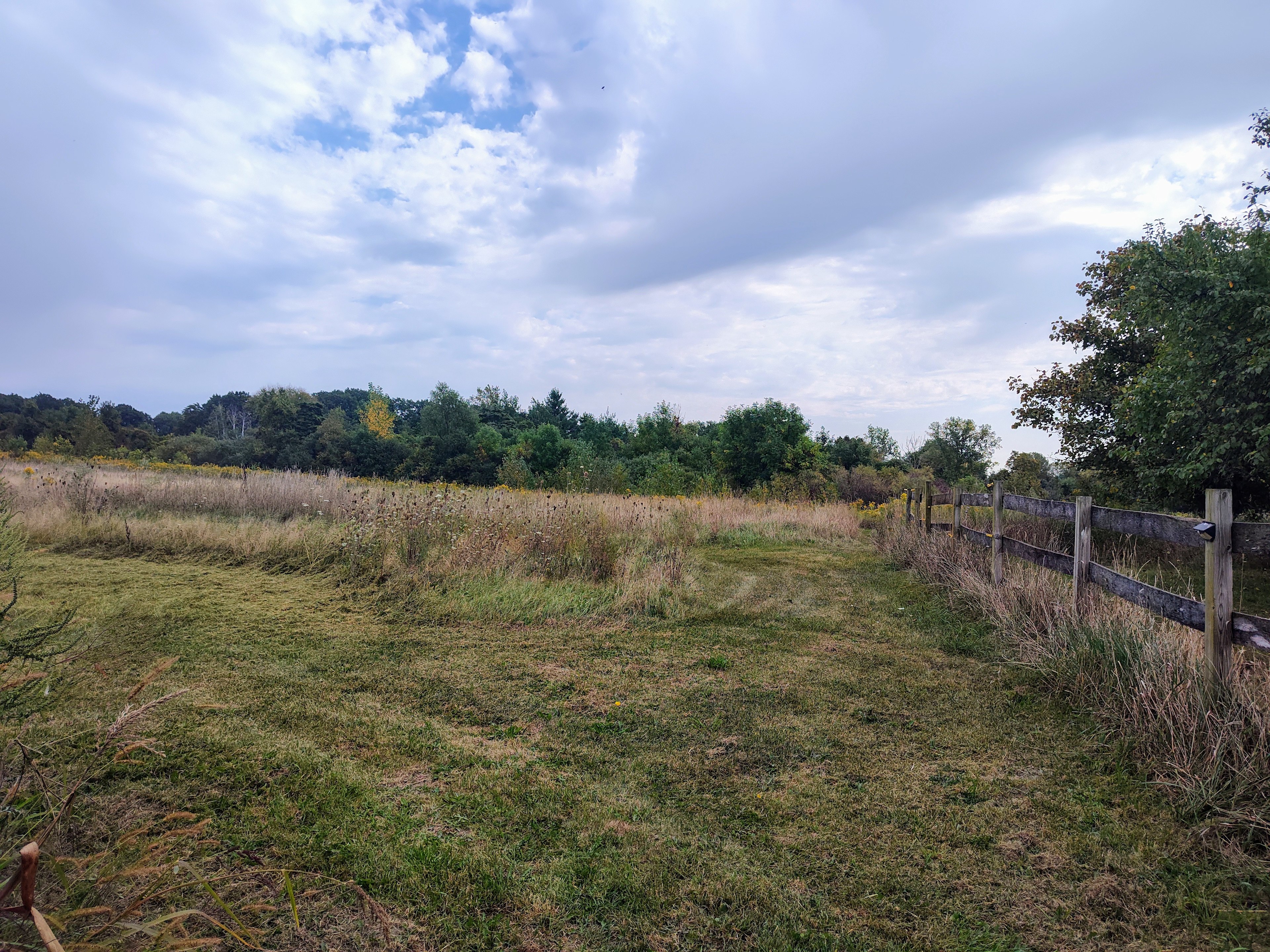 Healing Meadow Trails Wooded Acres