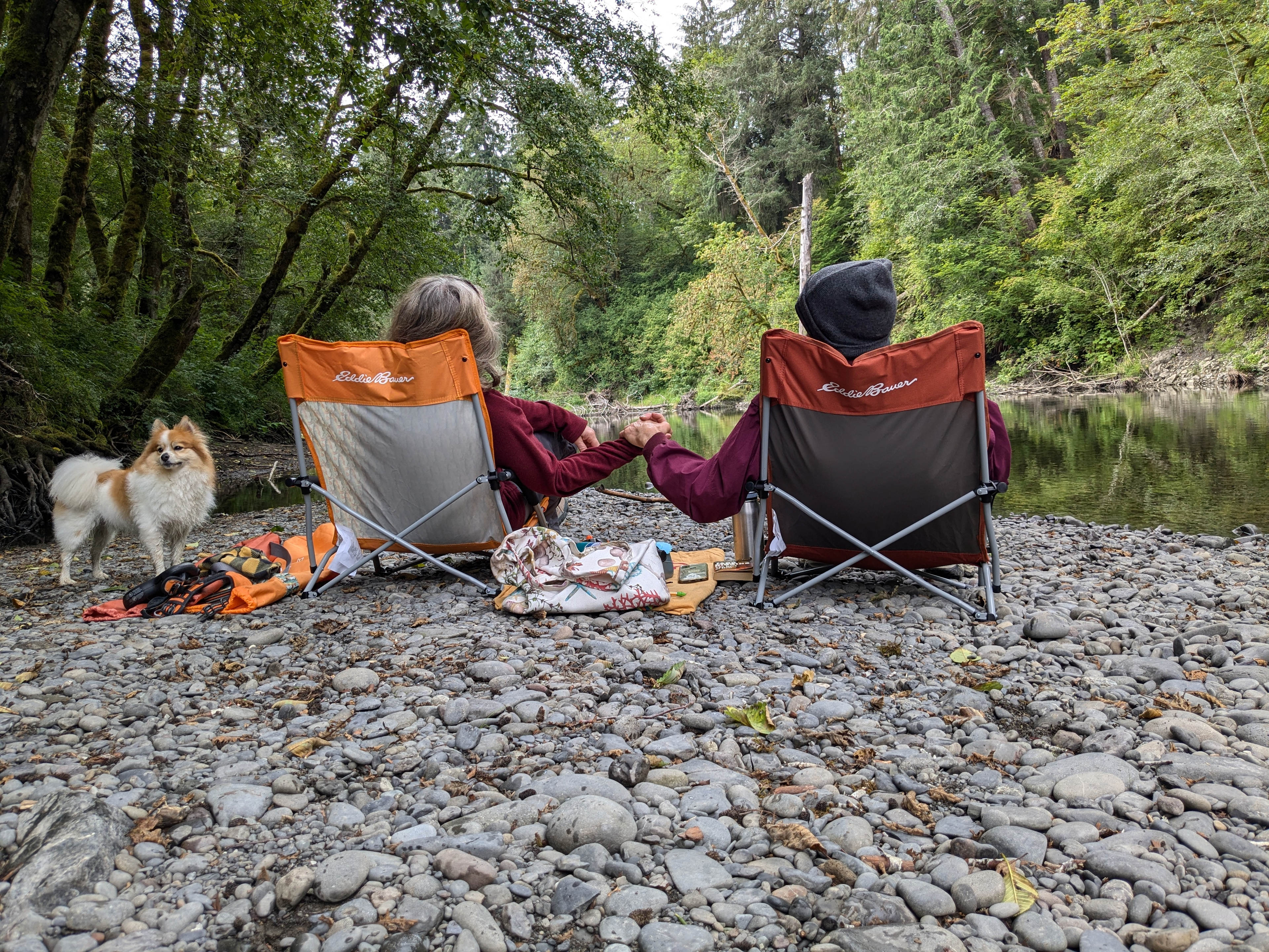 Dawleys SolDuc River Campground