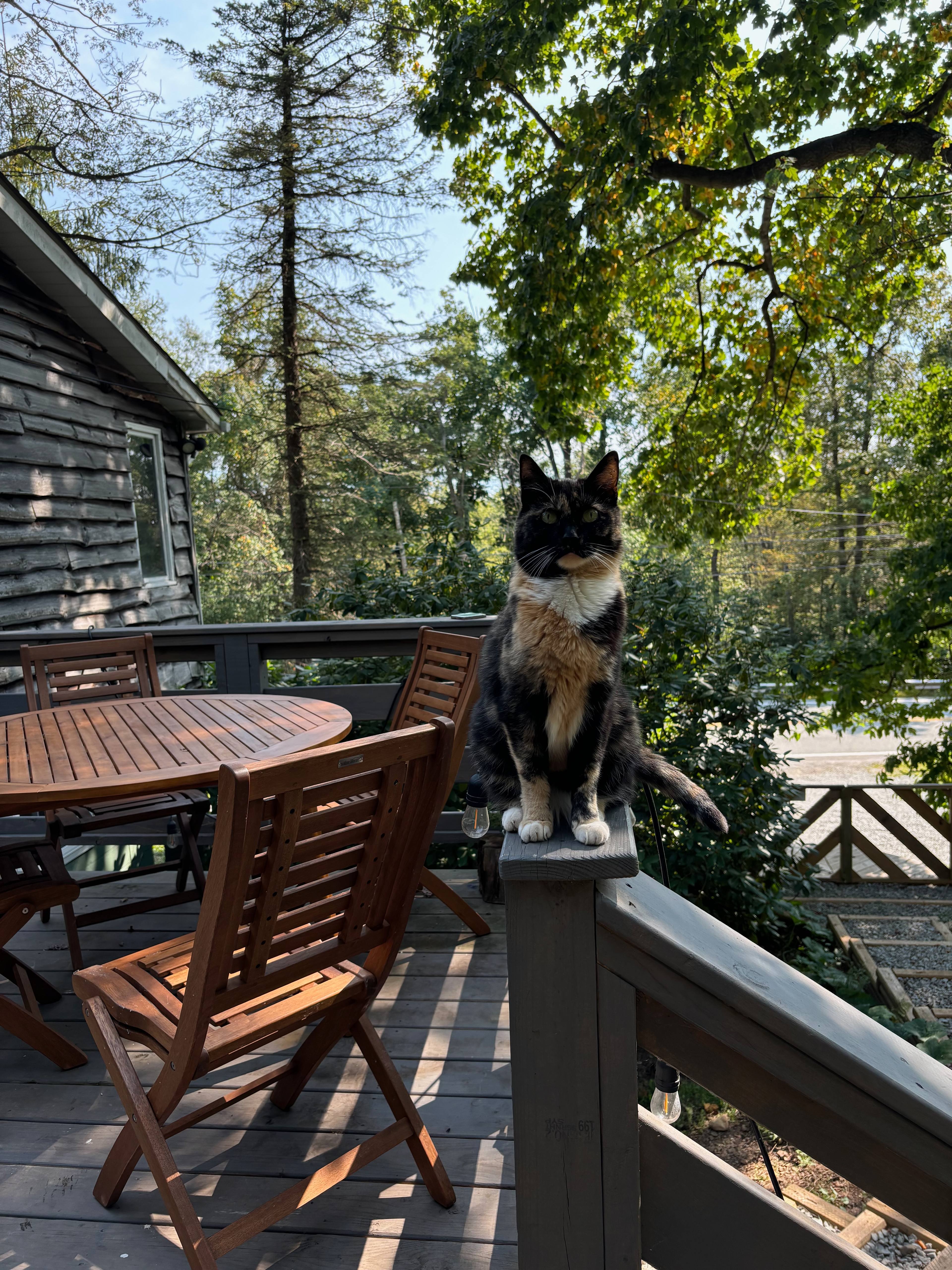 Cozy Mountain Cabin near 7 Springs