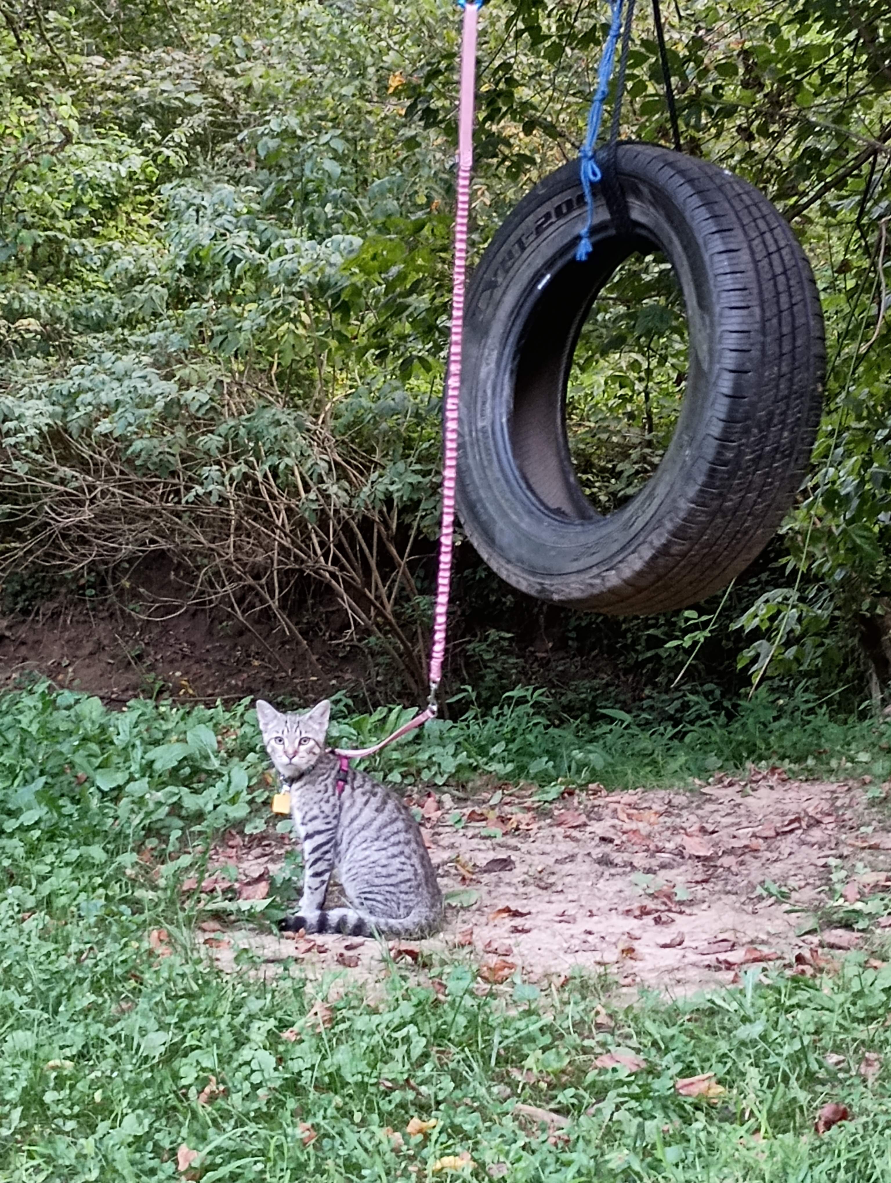 Out On The Creek Campground & RV