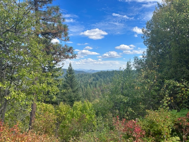 Zaltana Retreat