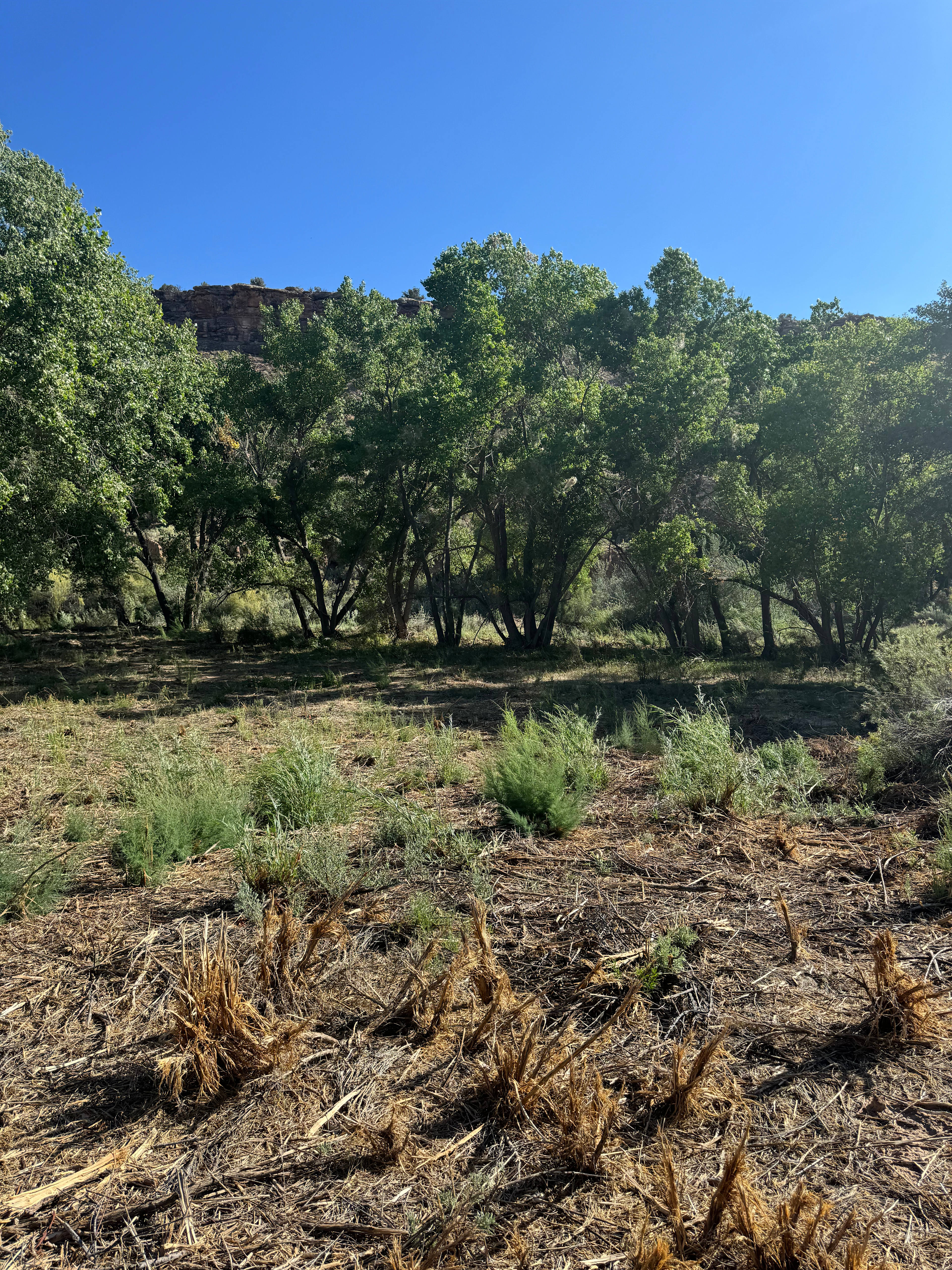 Saddlehorn Ranch