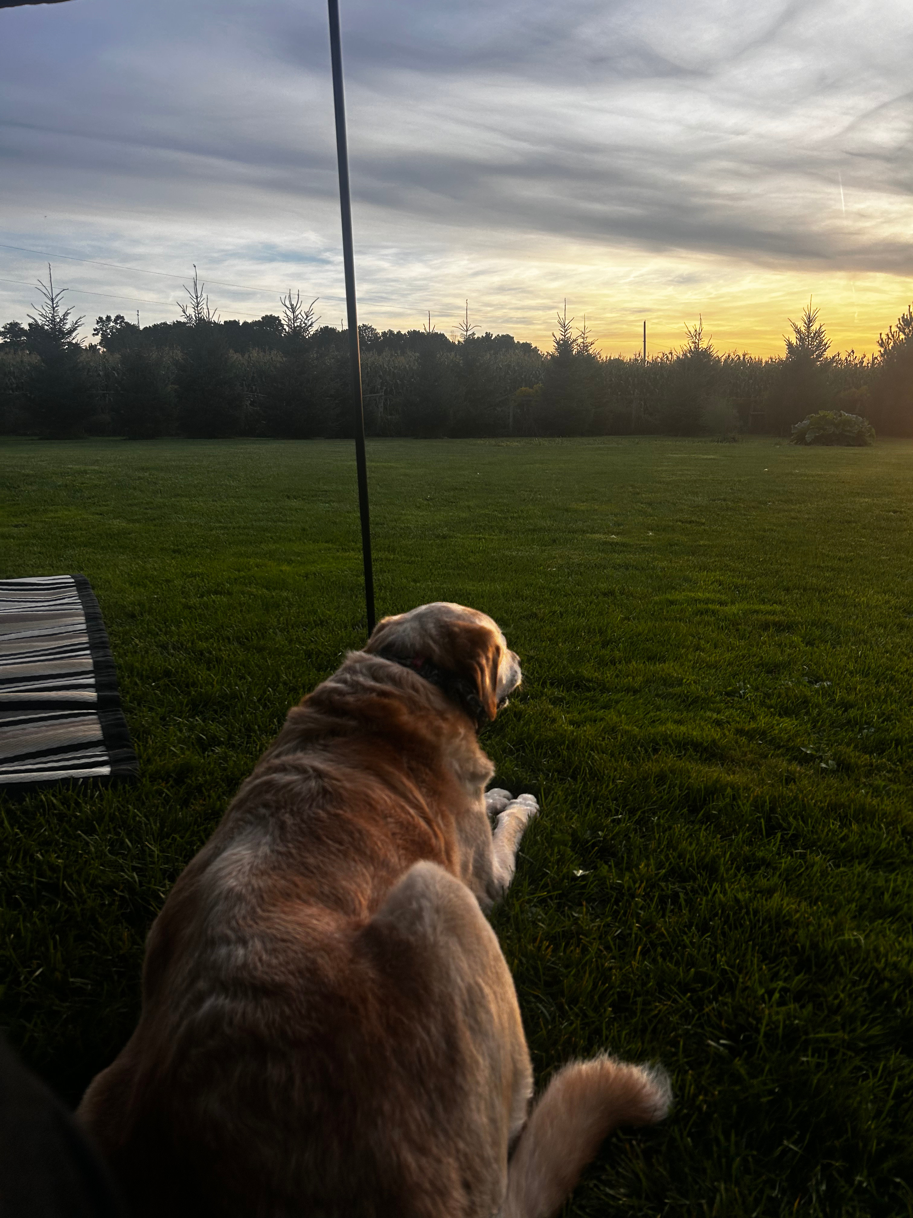 Hidden Oasis Near Elora