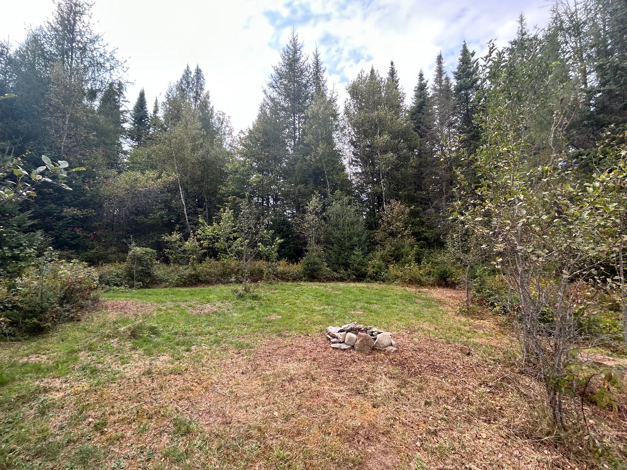 Wandering Pines Camping