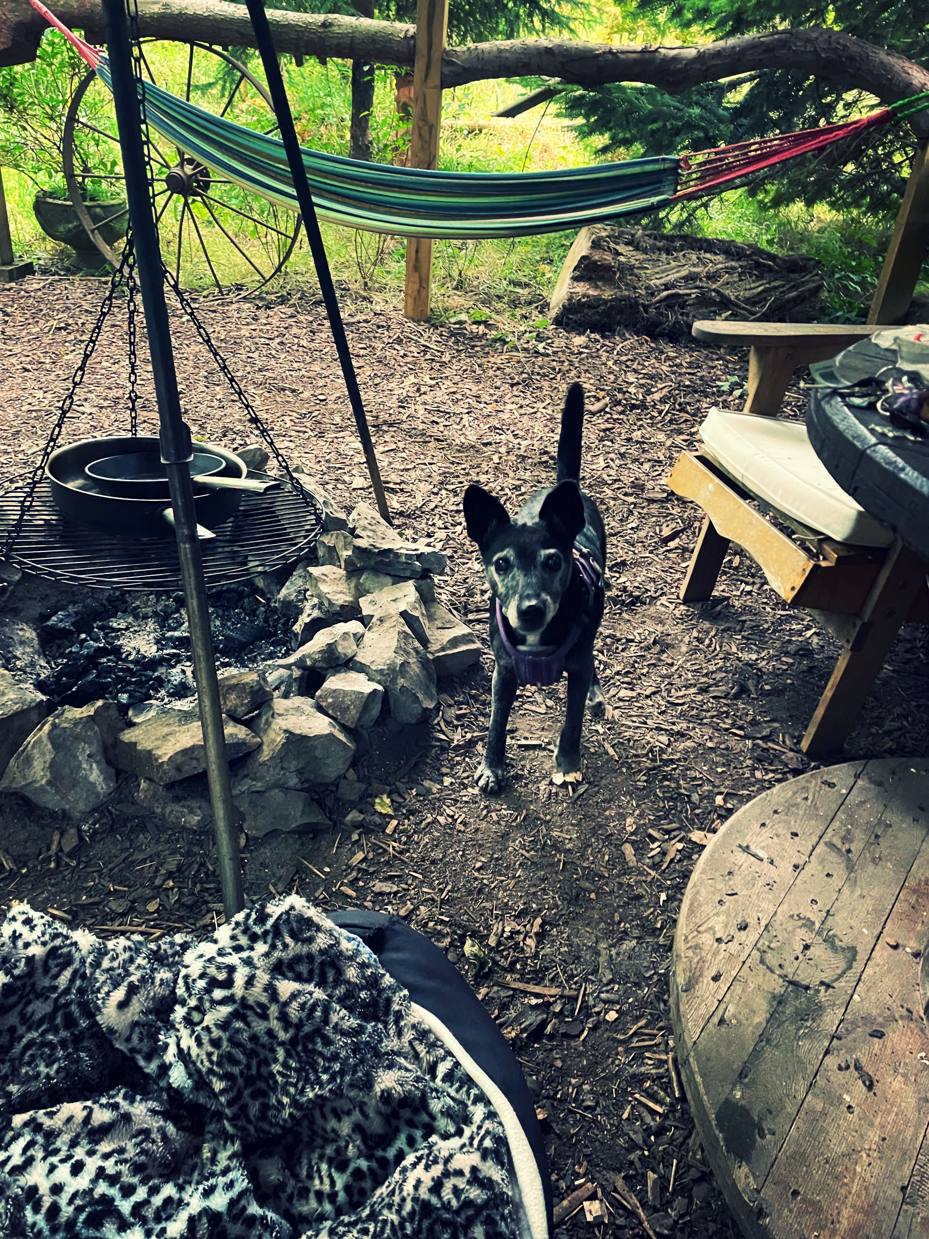 The Hobbit House and Secret Garden