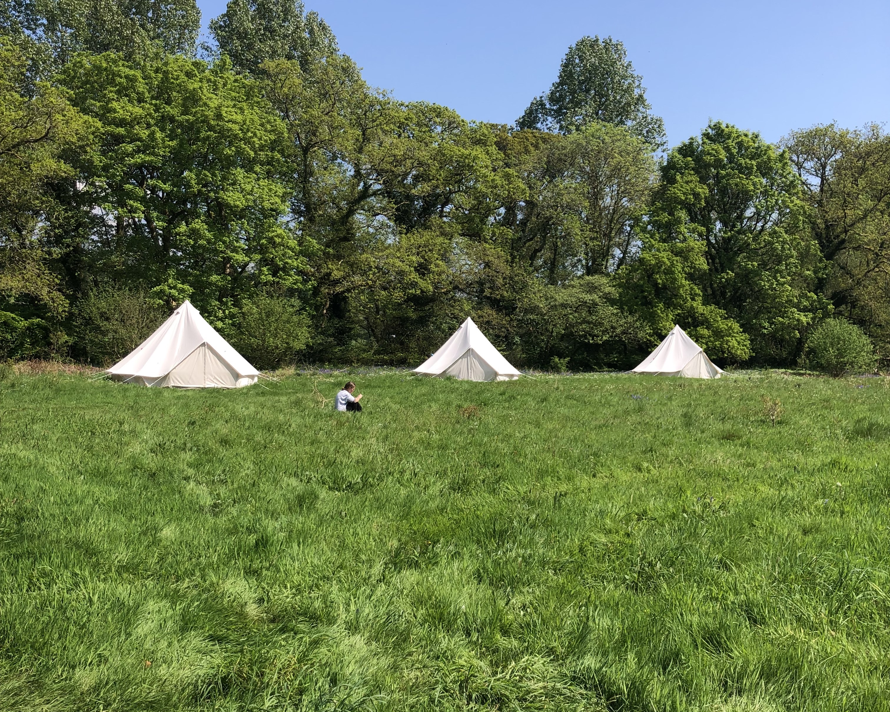 Ancient Woodland Eco-Glamping
