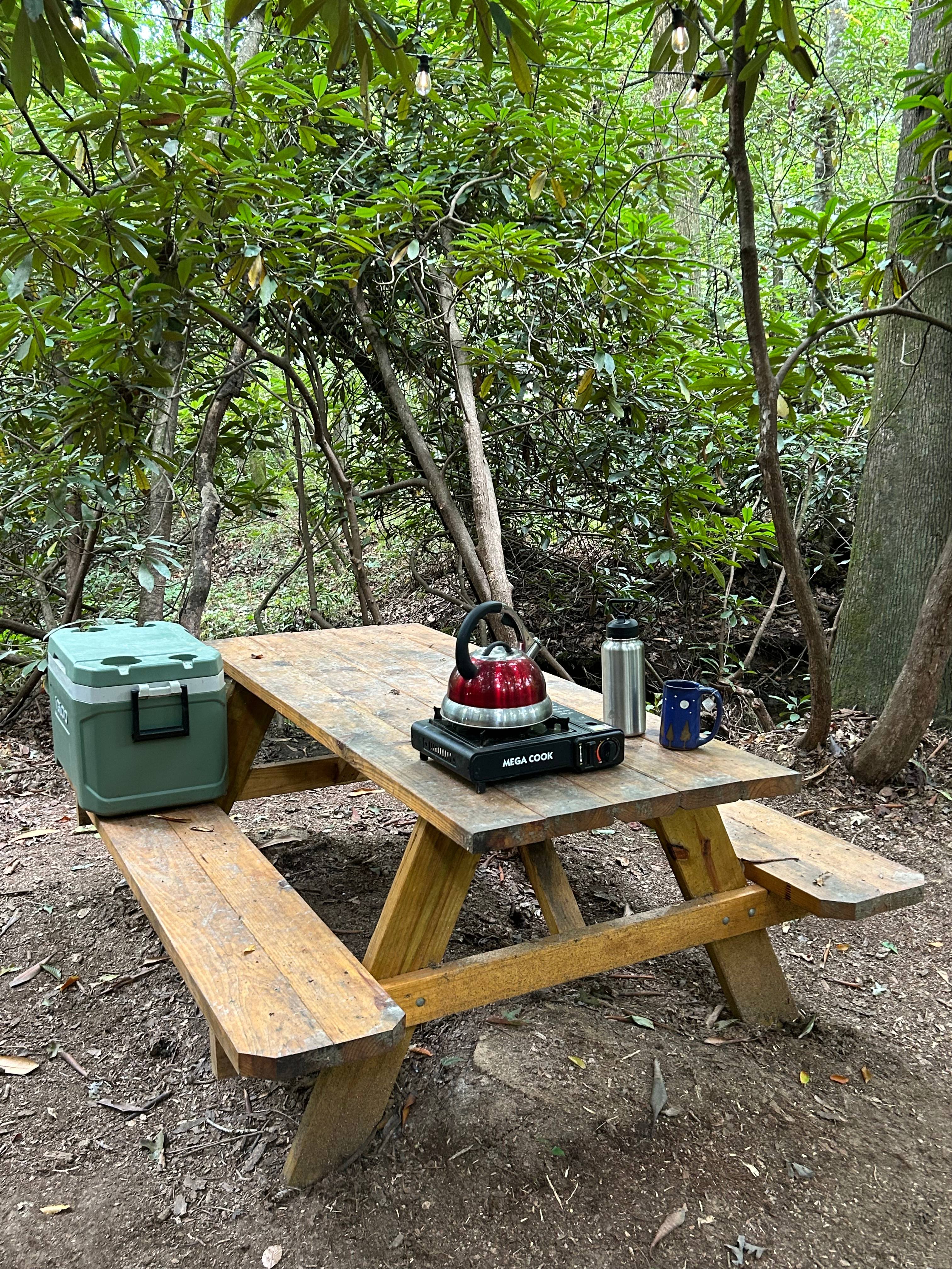 You bring the cheeseburgers, we provide the eating space.