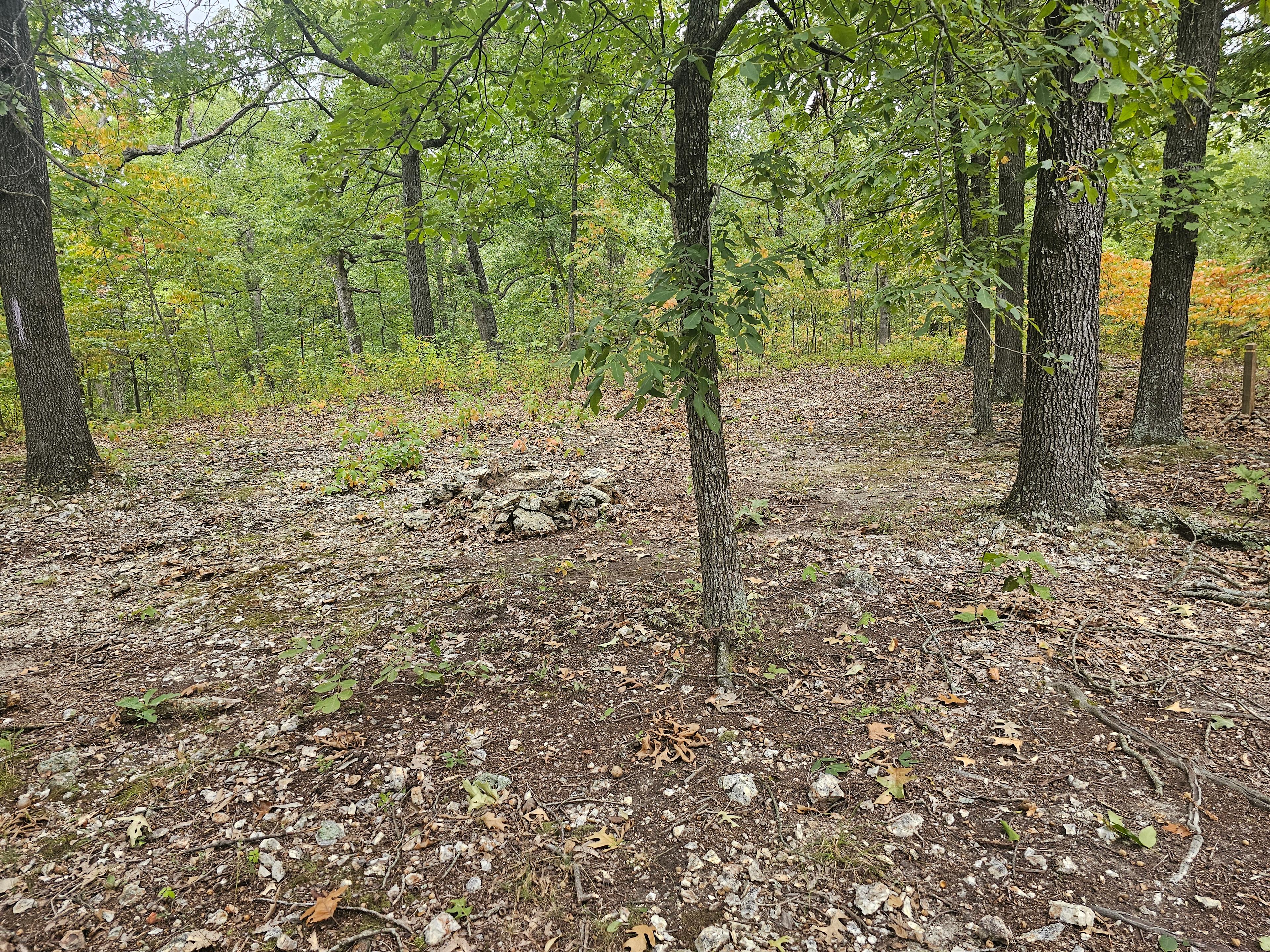 Lake Ozark Wooded Retreat