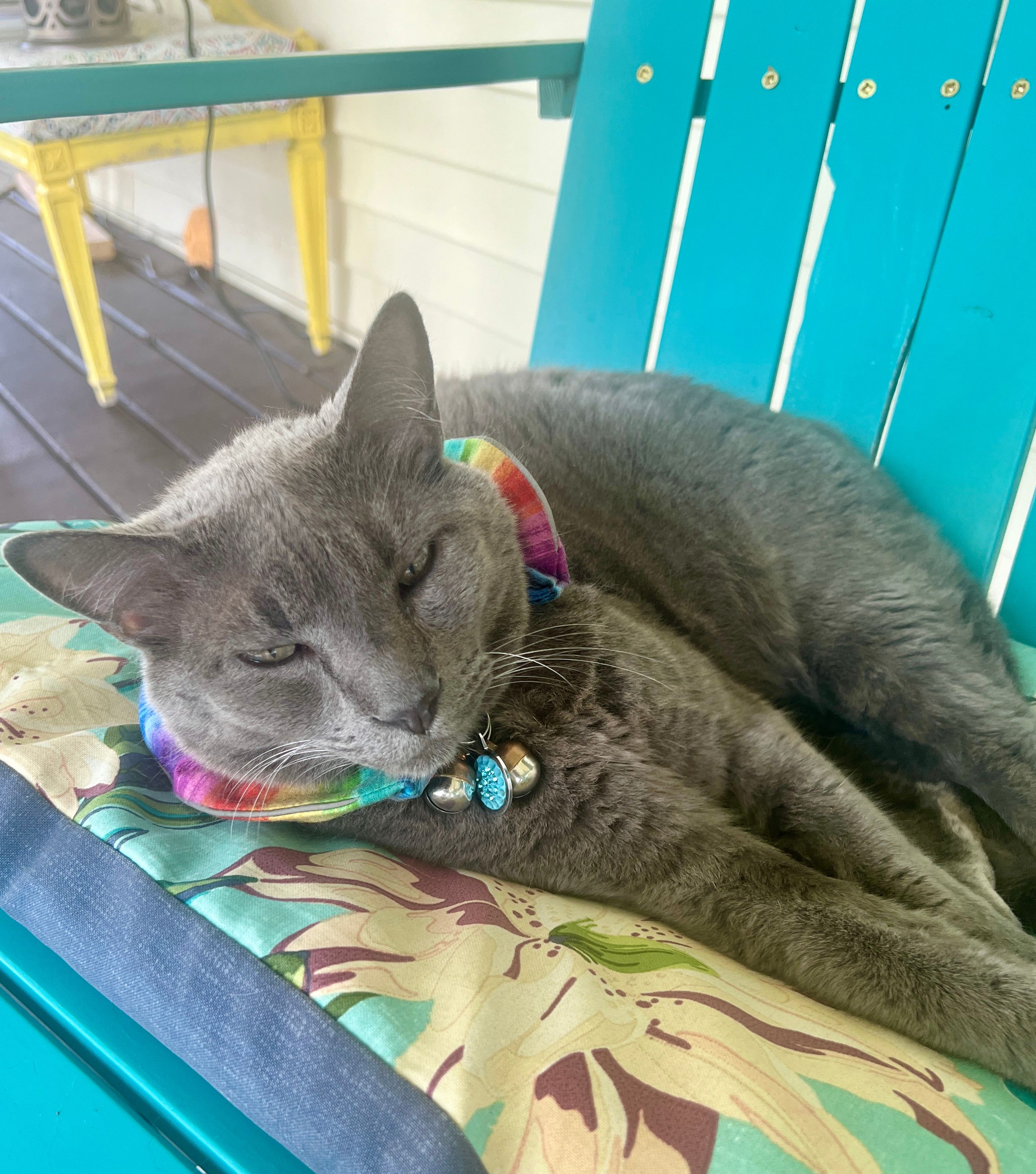 Cozy Lofted Barn Retreat