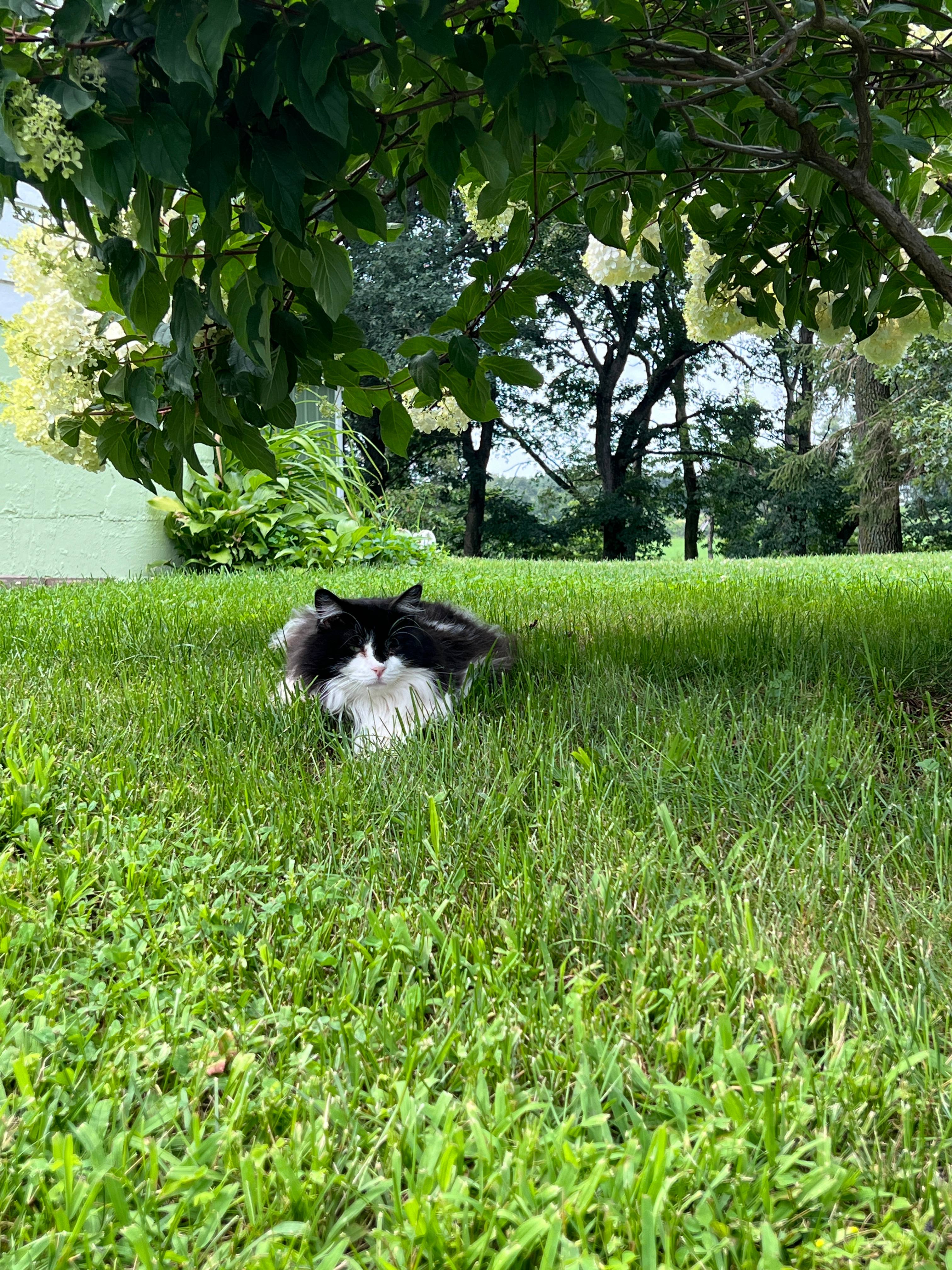 Cozy Lofted Barn Retreat
