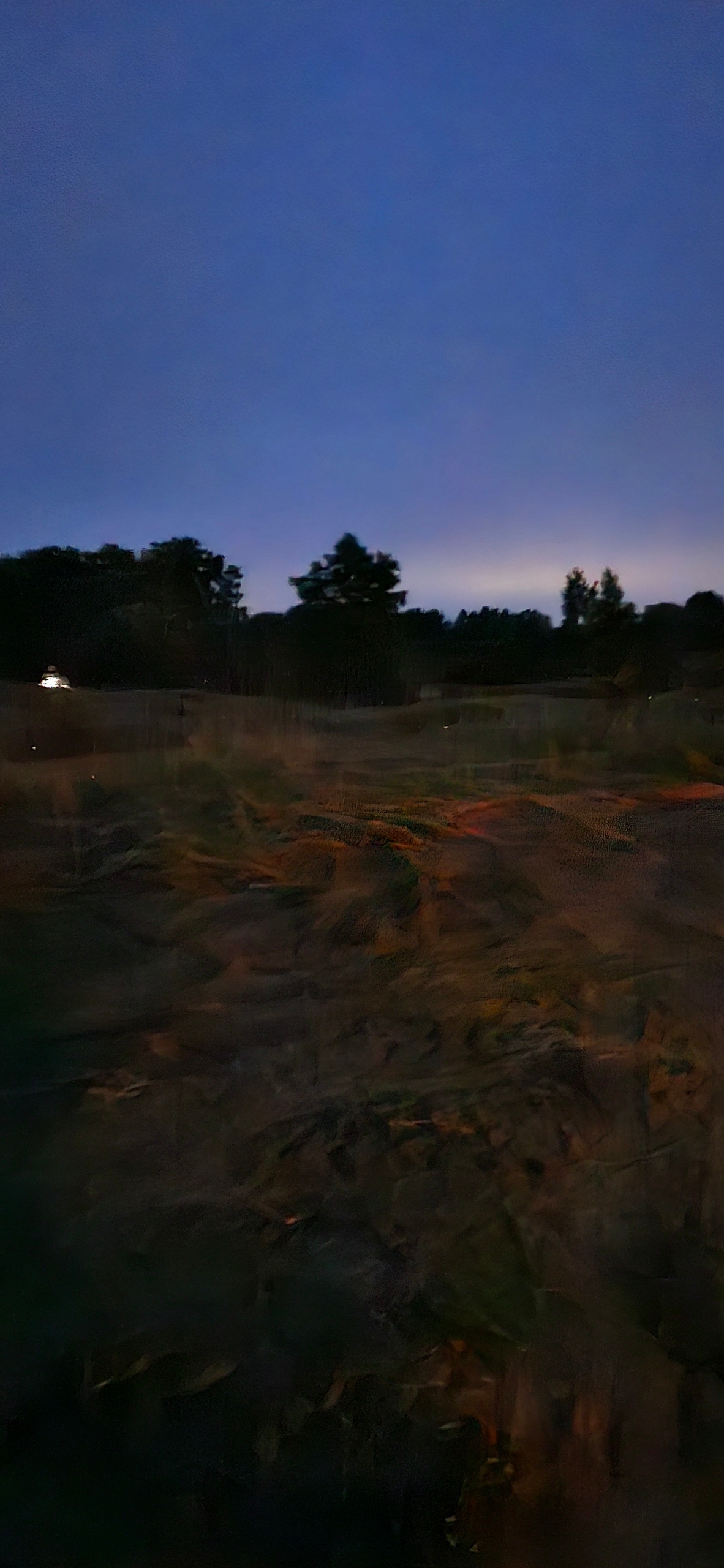 Meadow Basecamp