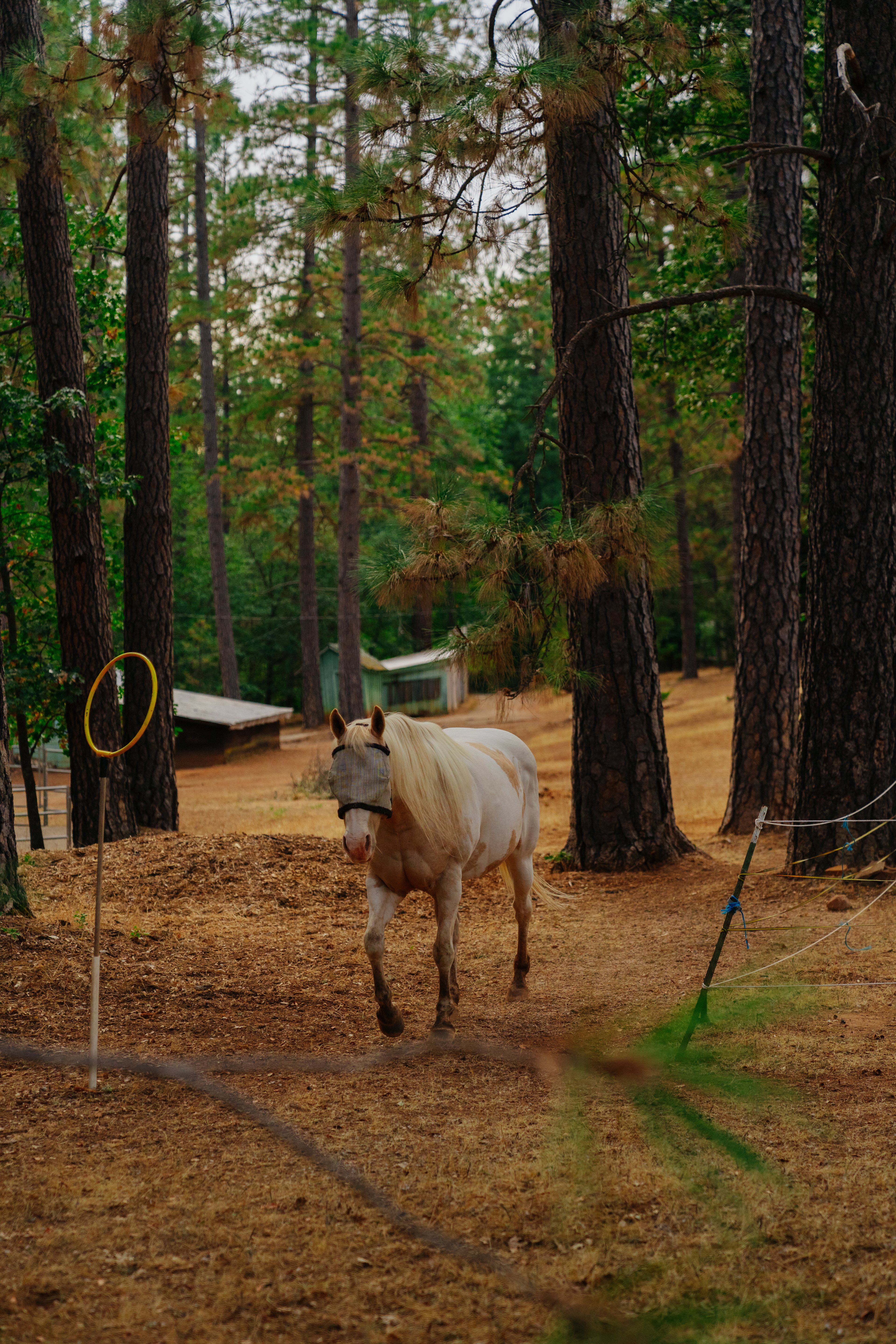 Pine Ridge Campground with lodge