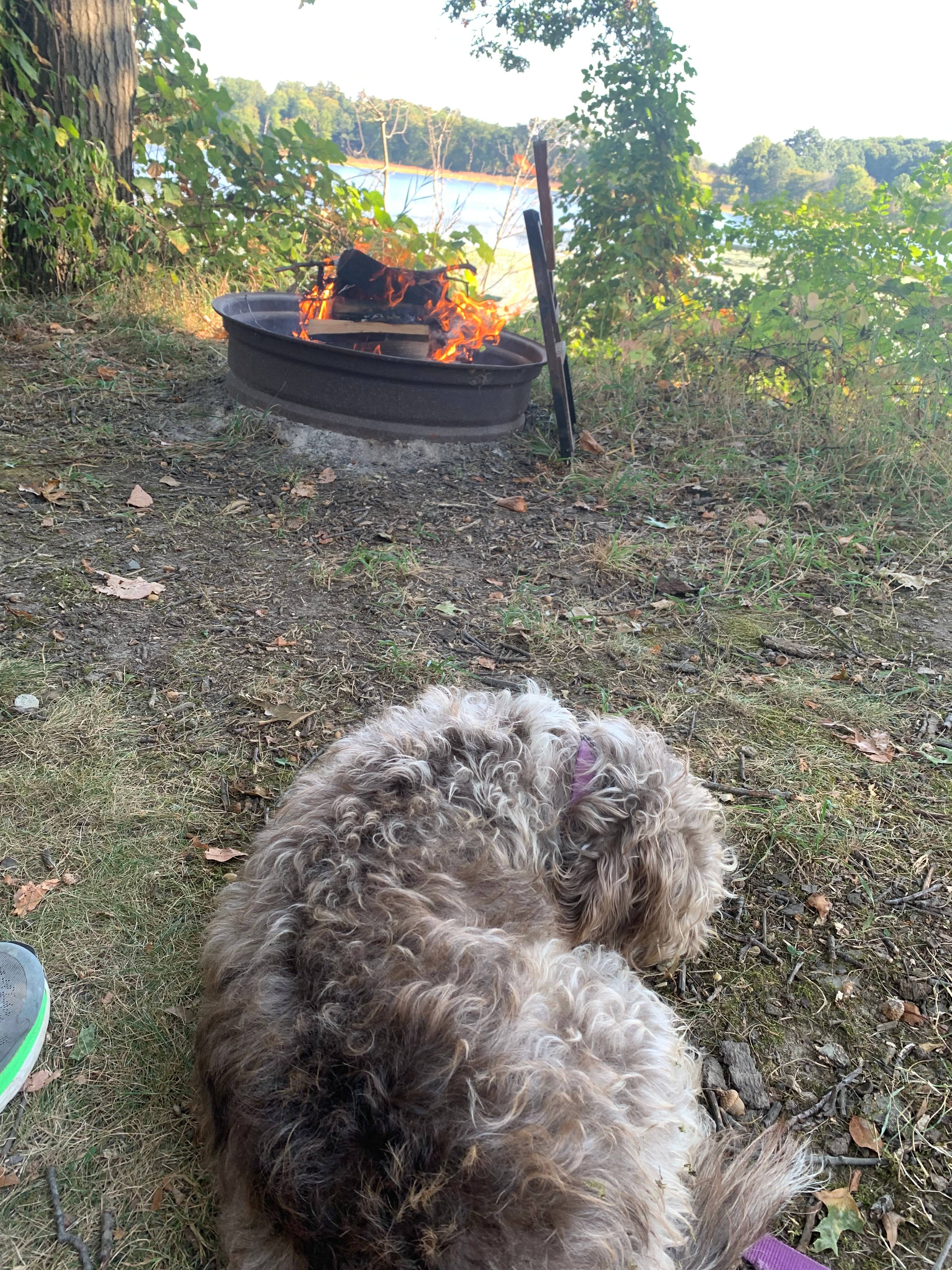 My site for the night