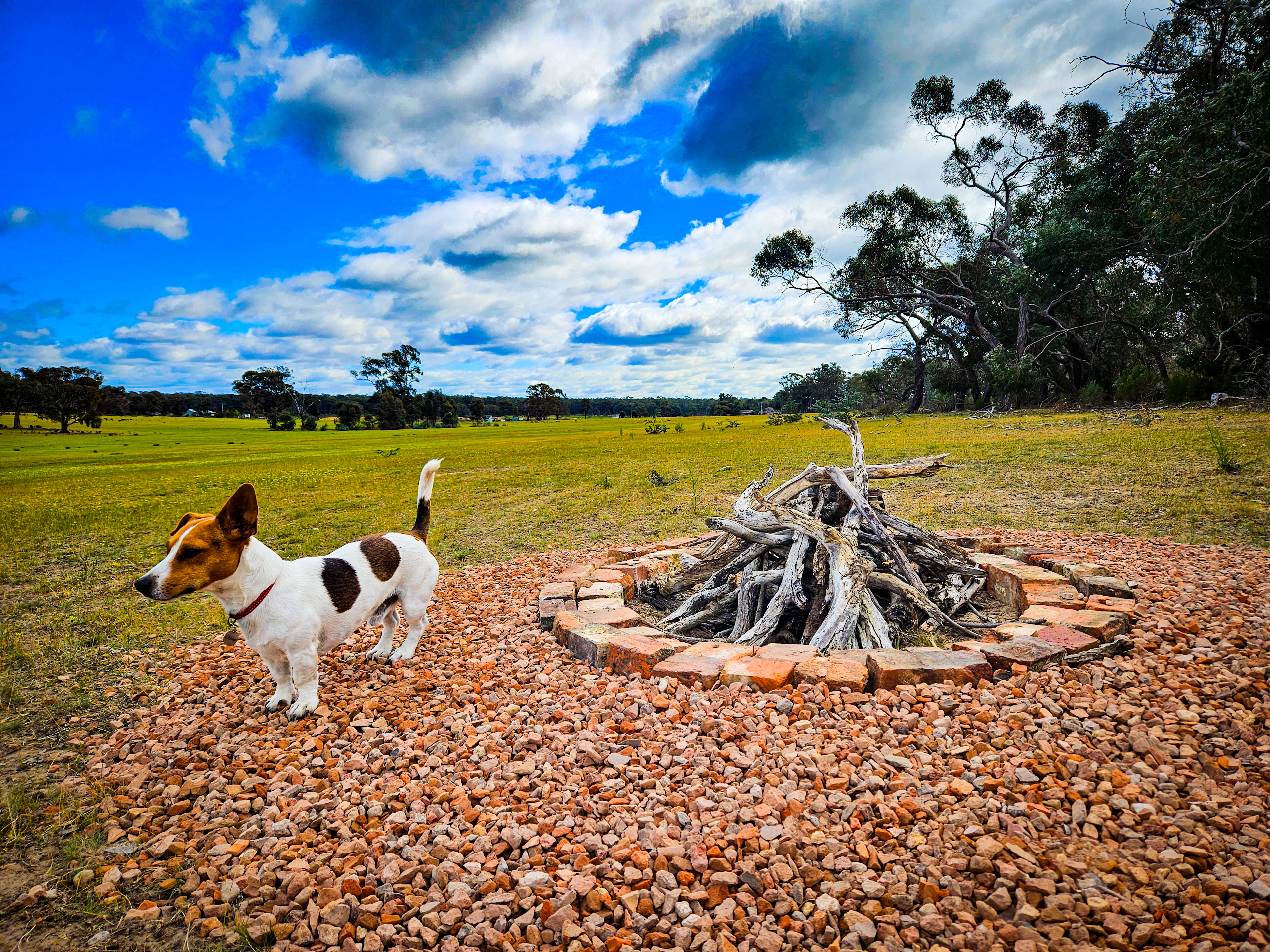 Somerville Park   (Bendigo)