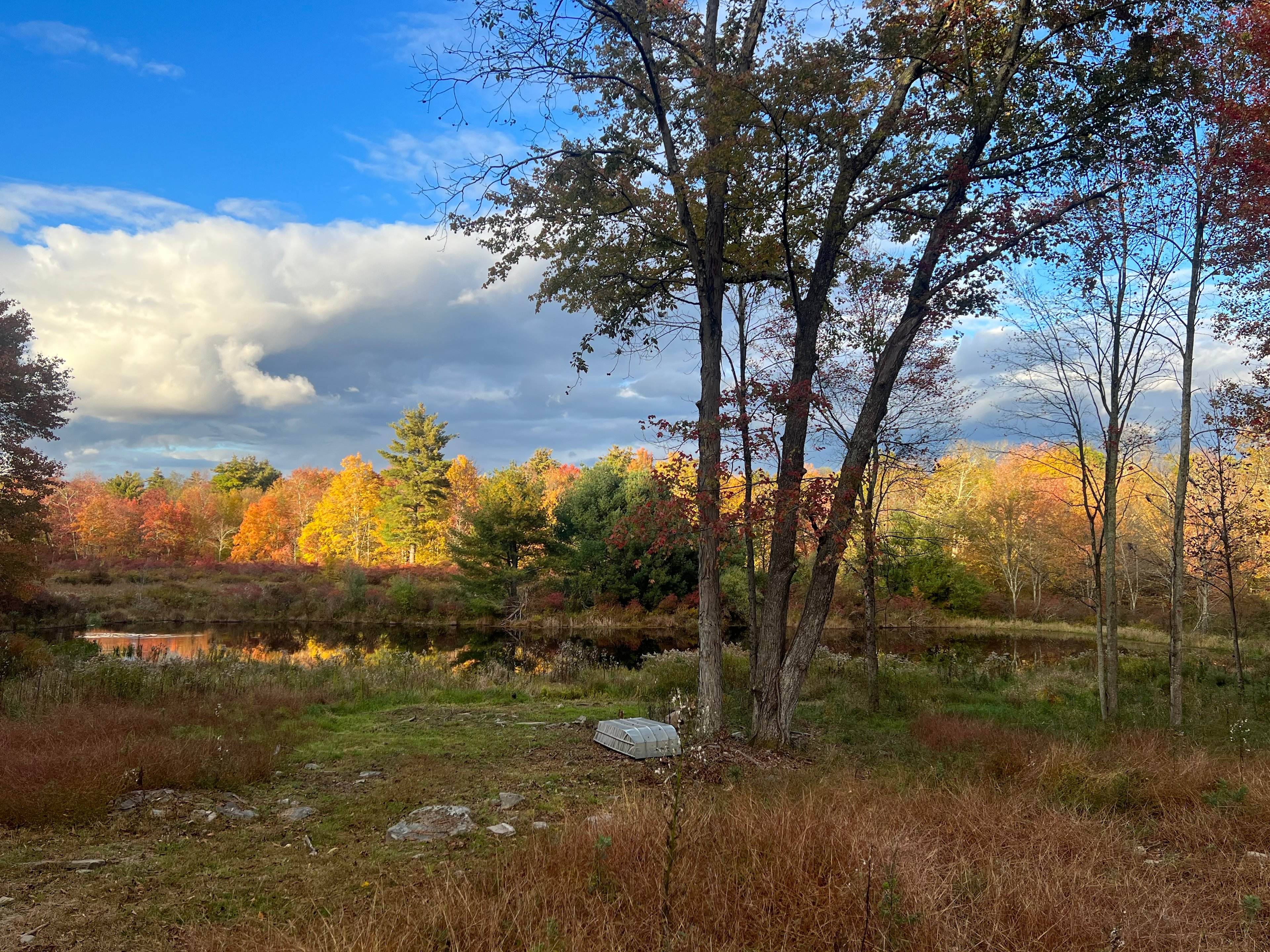 Deer Point