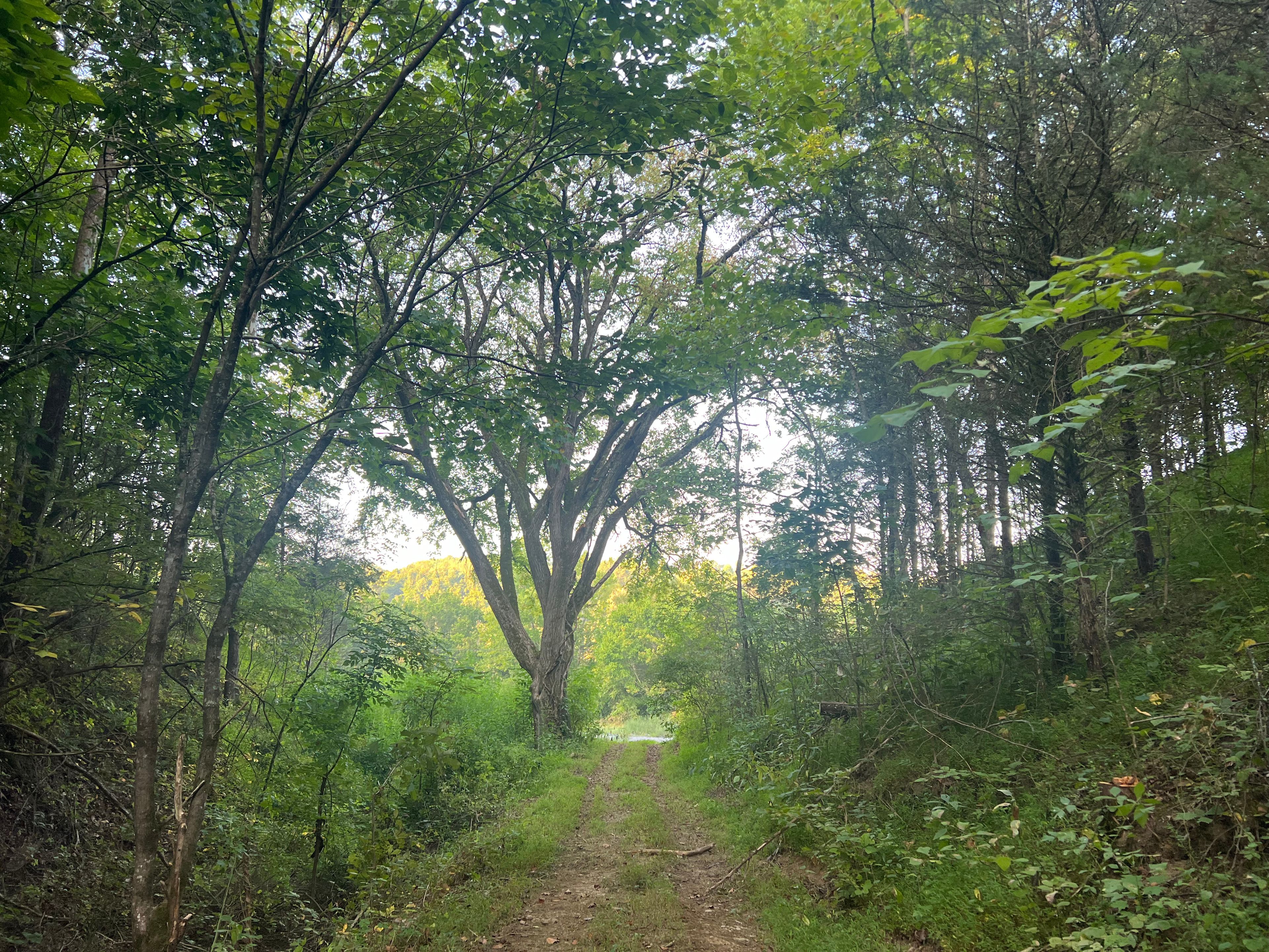 Wild Woods Retreat Center