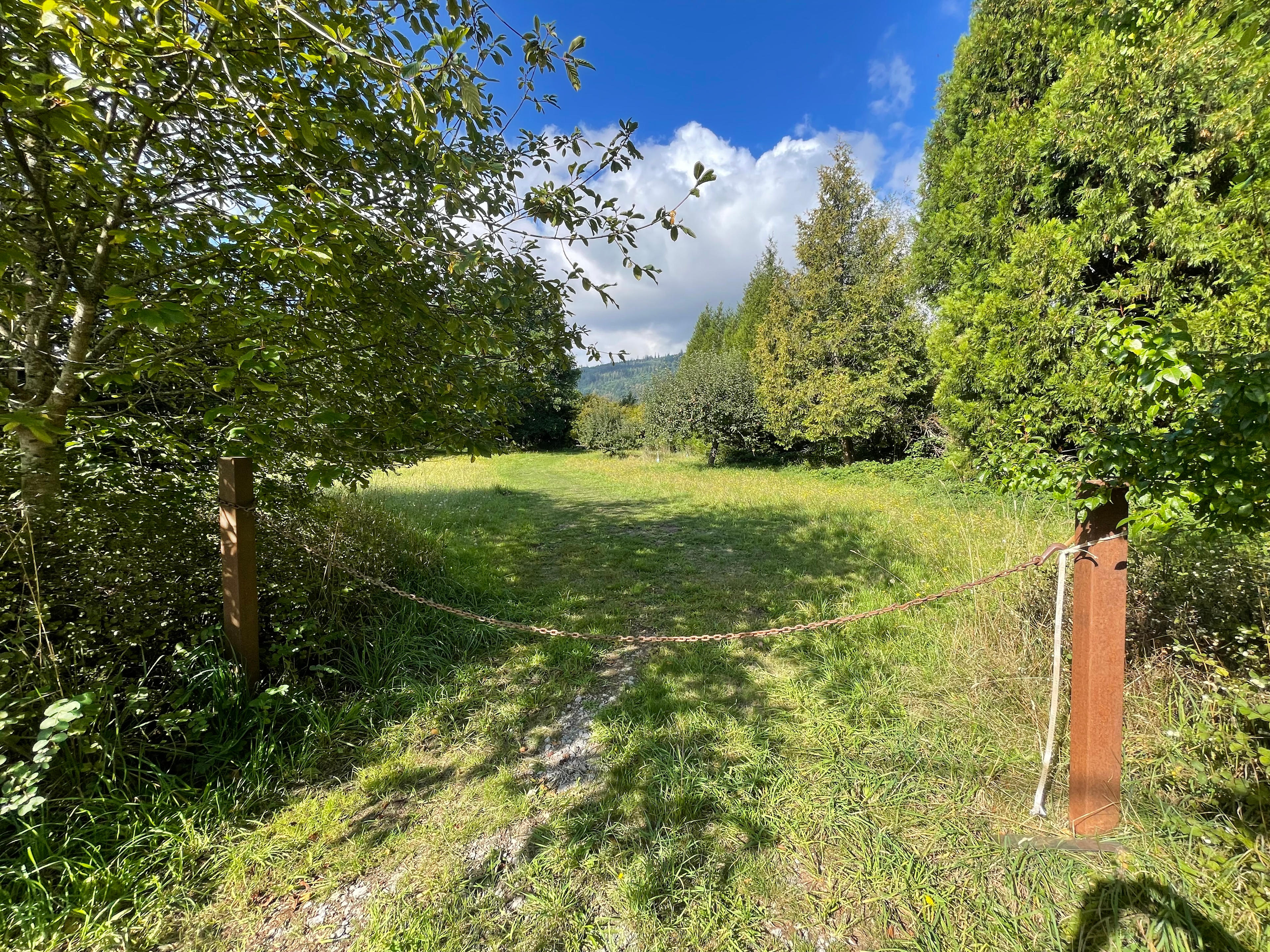 Once you turn onto North Fork Road, take the first left into the entrance to the camping area. Park in the designated area of the orchard.