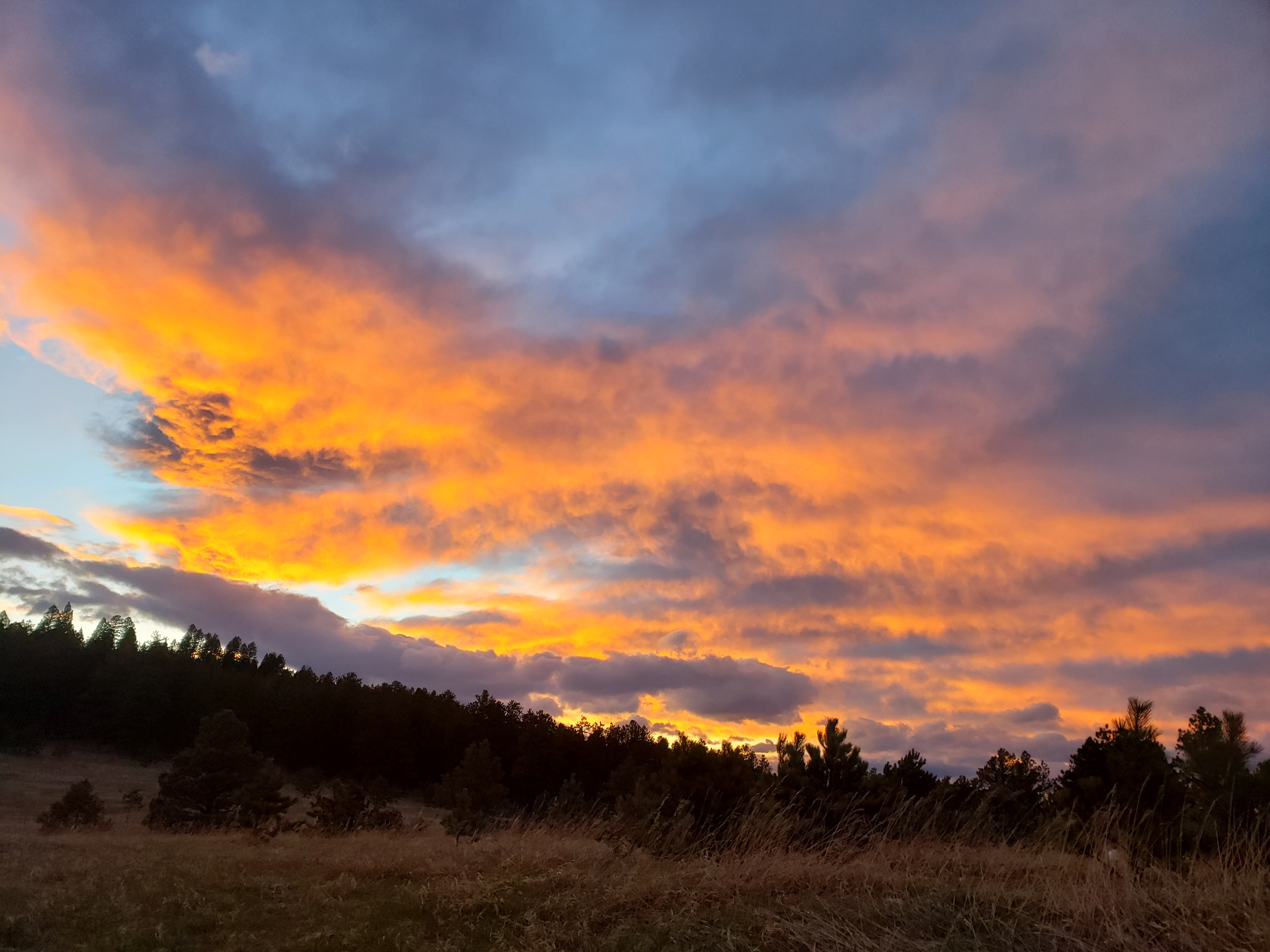 Pet & Family Pikes Peak Ranch