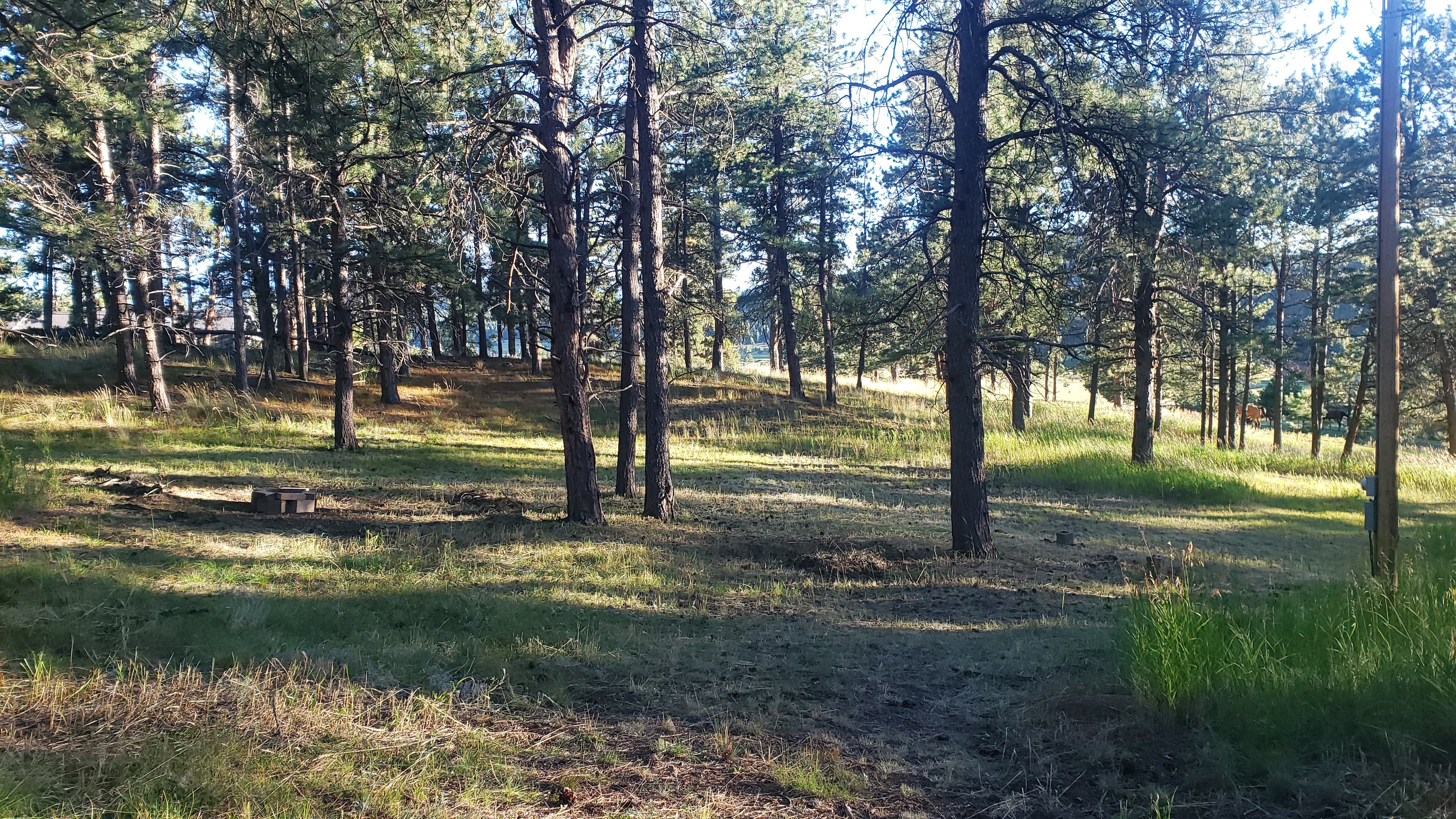 Pet & Family Pikes Peak Ranch