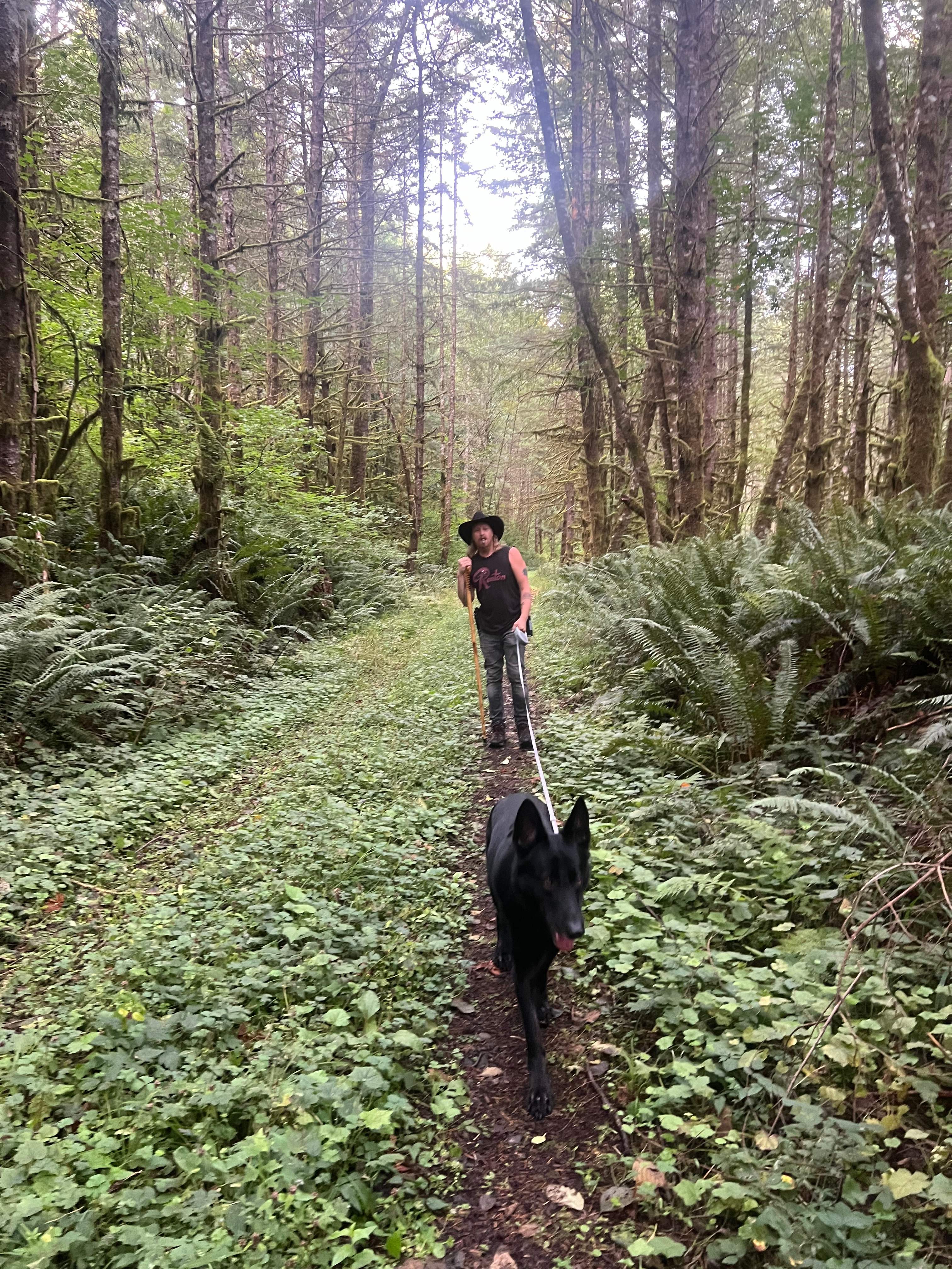 WOODED CAMPERS DELIGHT