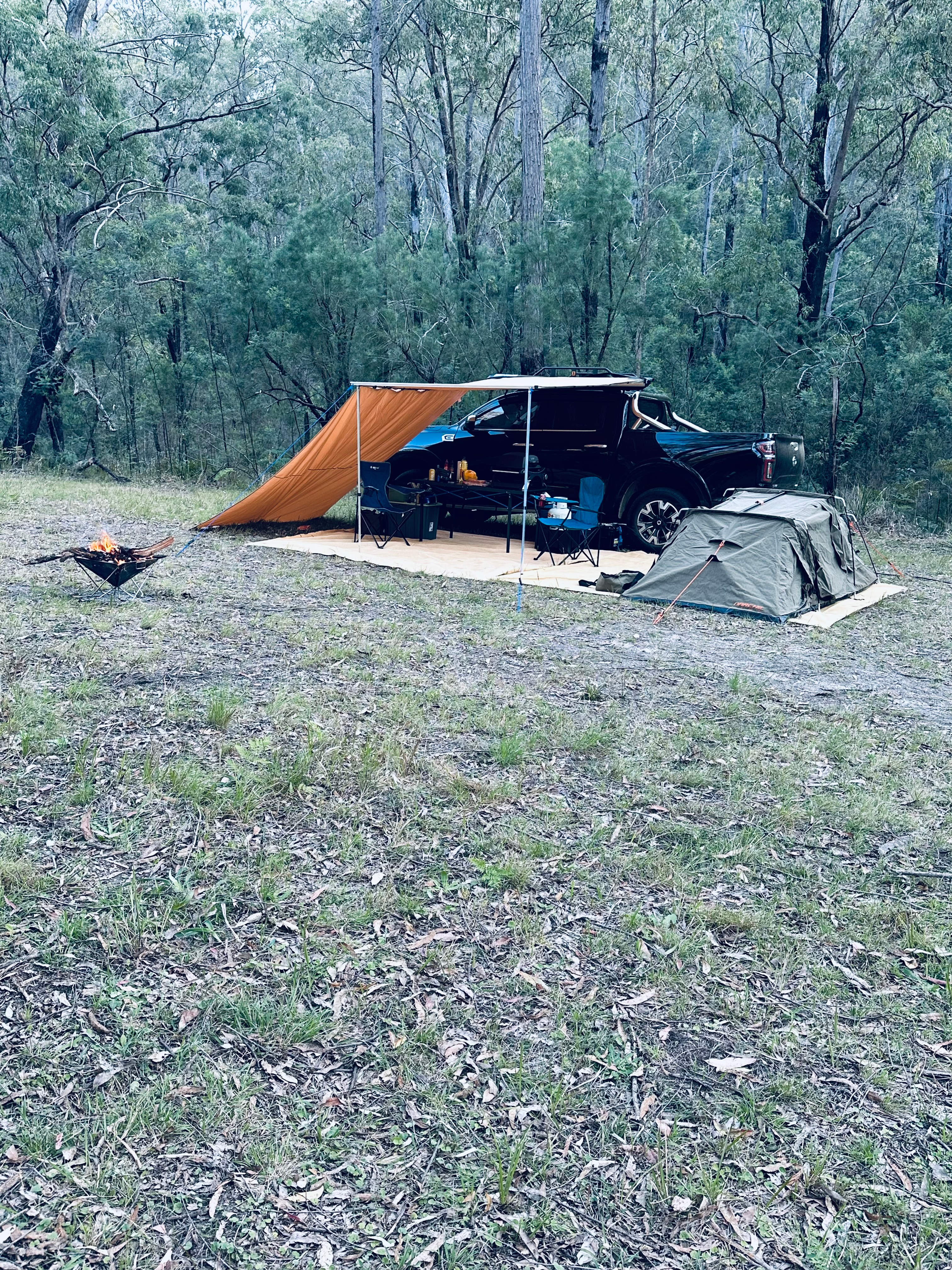 Wollombi Springs