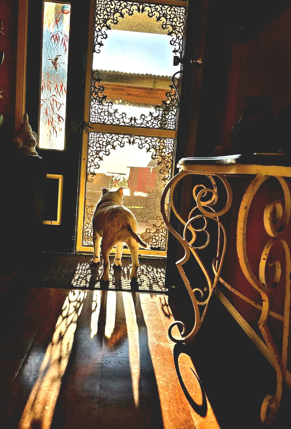 The House of the Rising Sun - Spa