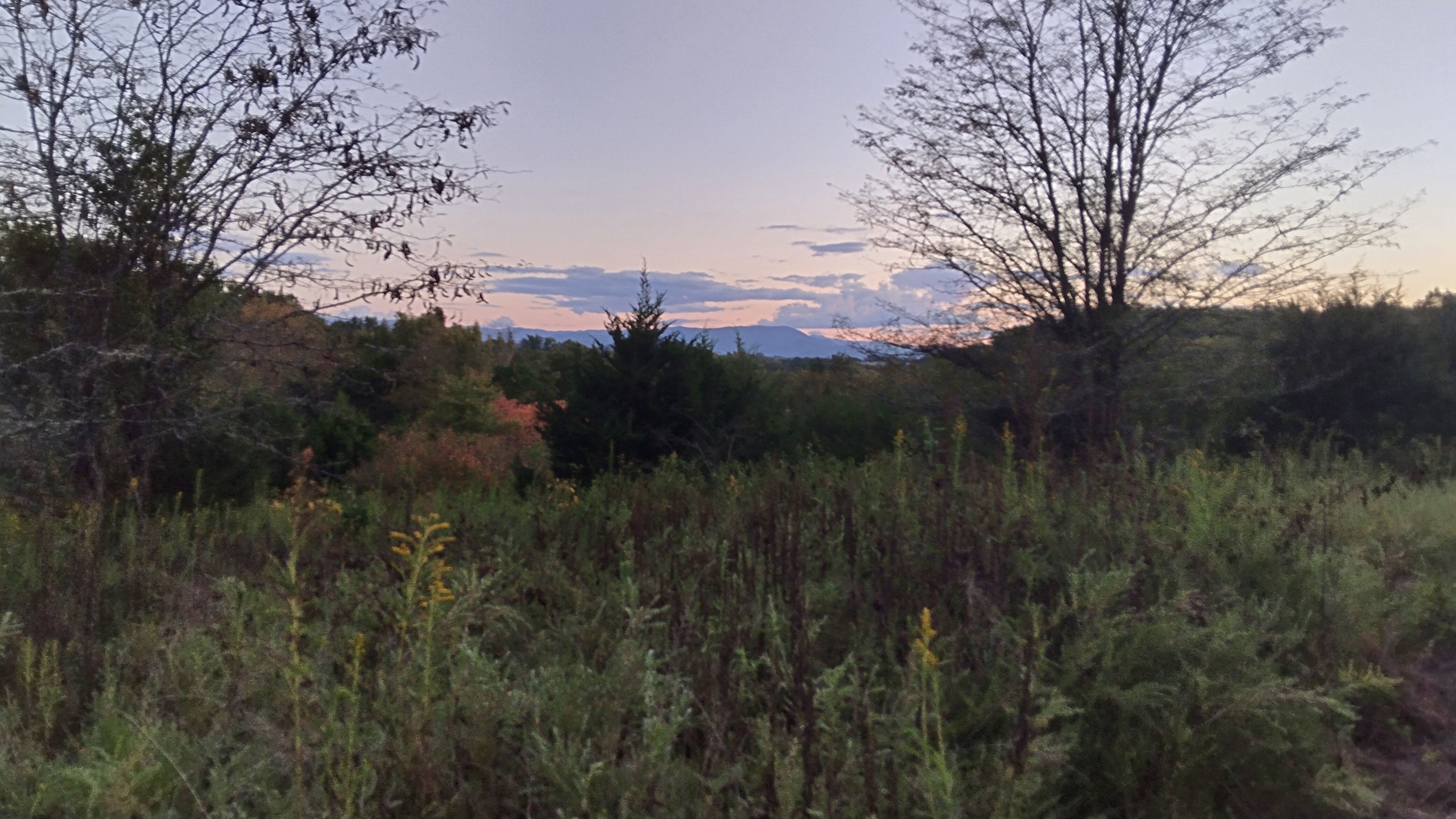 Harmony Hollow n the Smokies