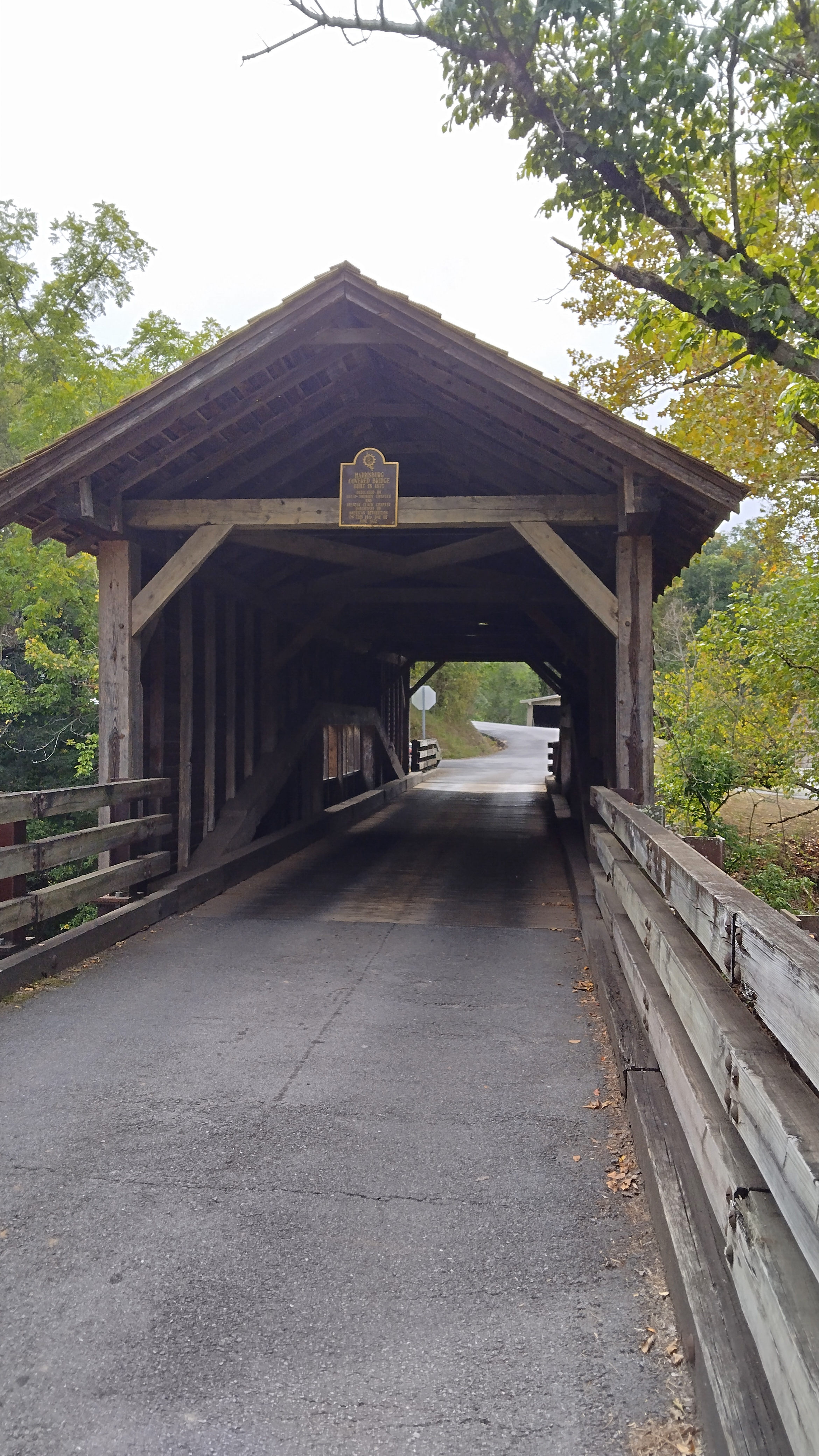 Harmony Hollow n the Smokies
