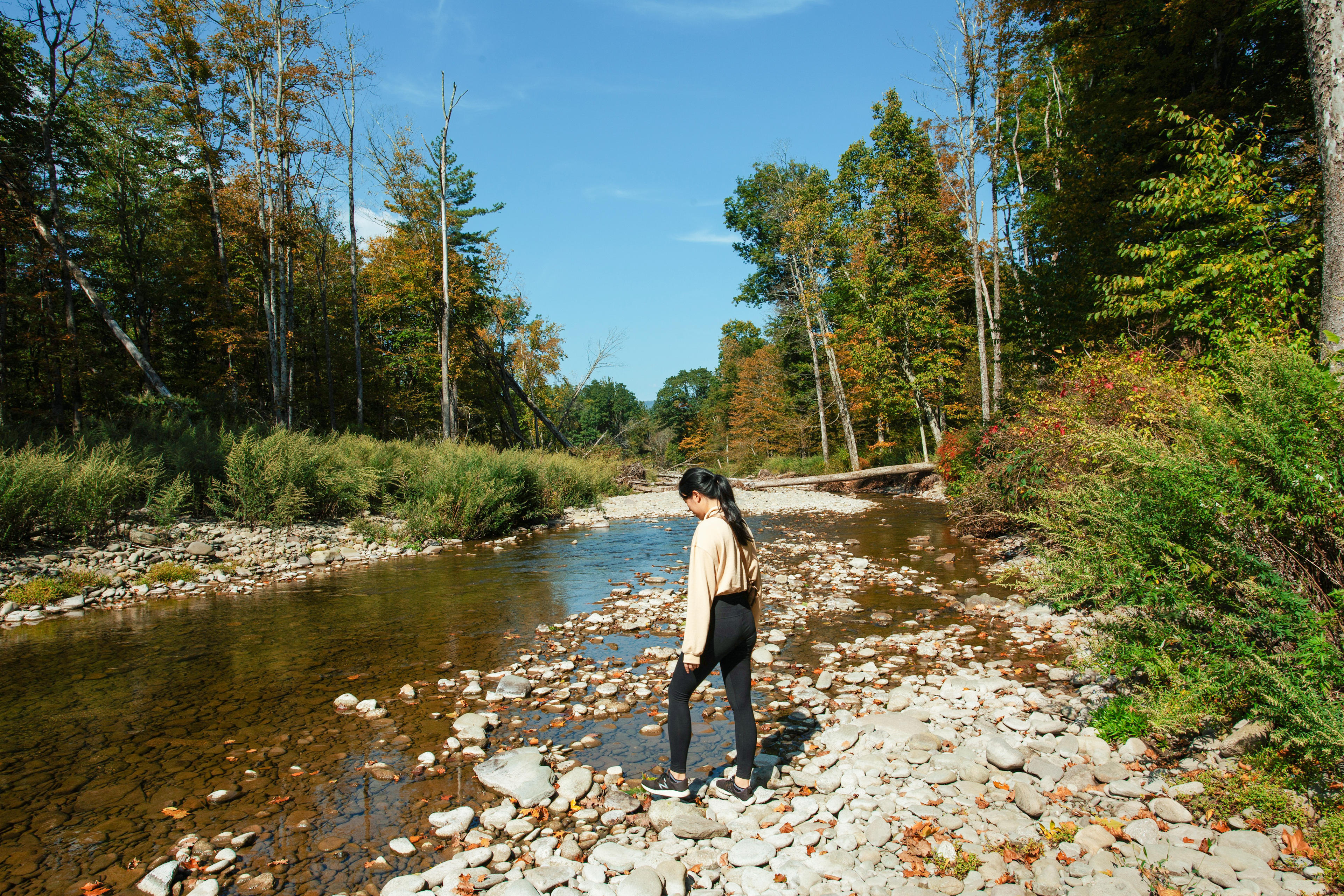 Big Indian Wilderness Paradise