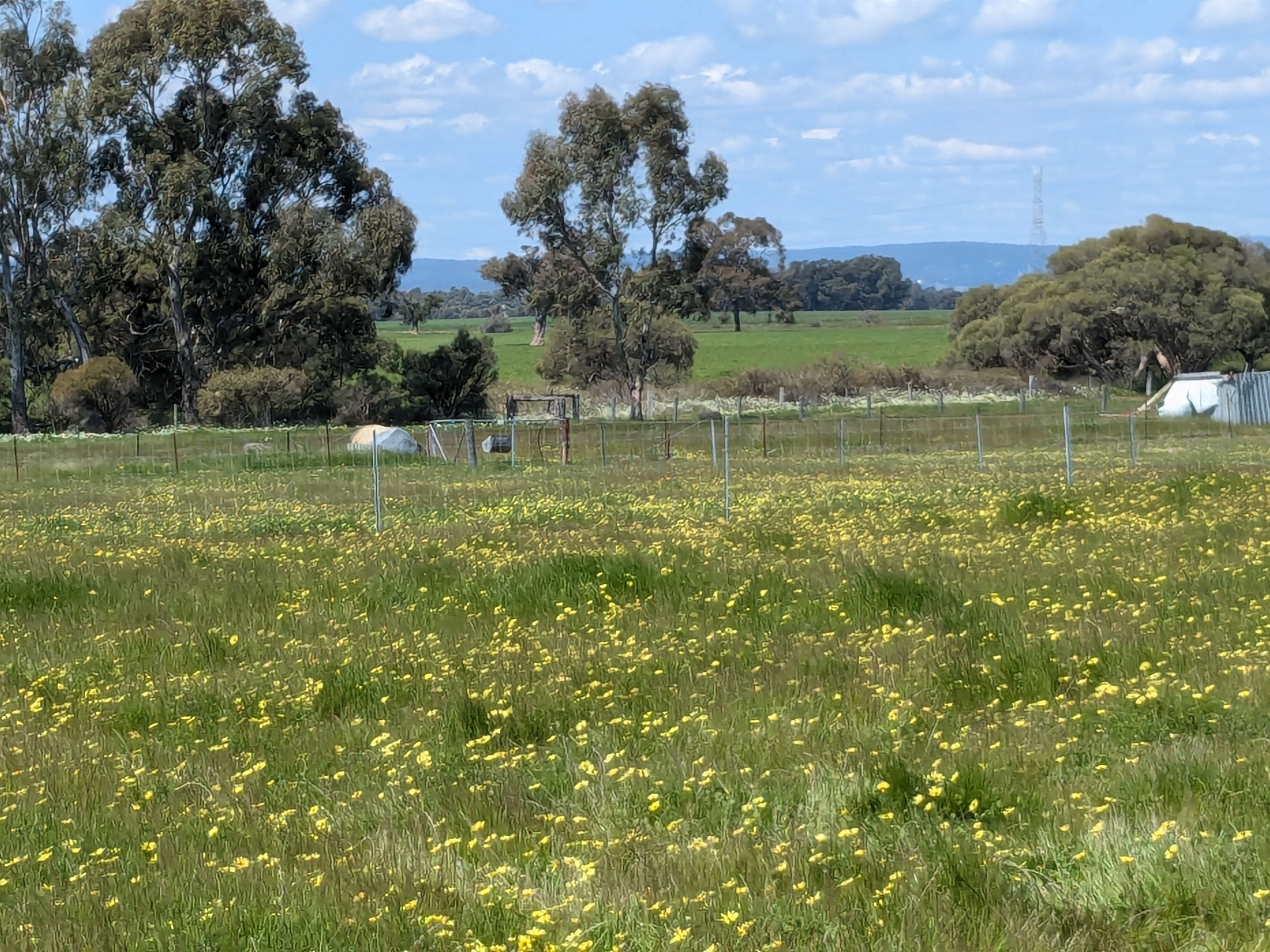 Mello Farm