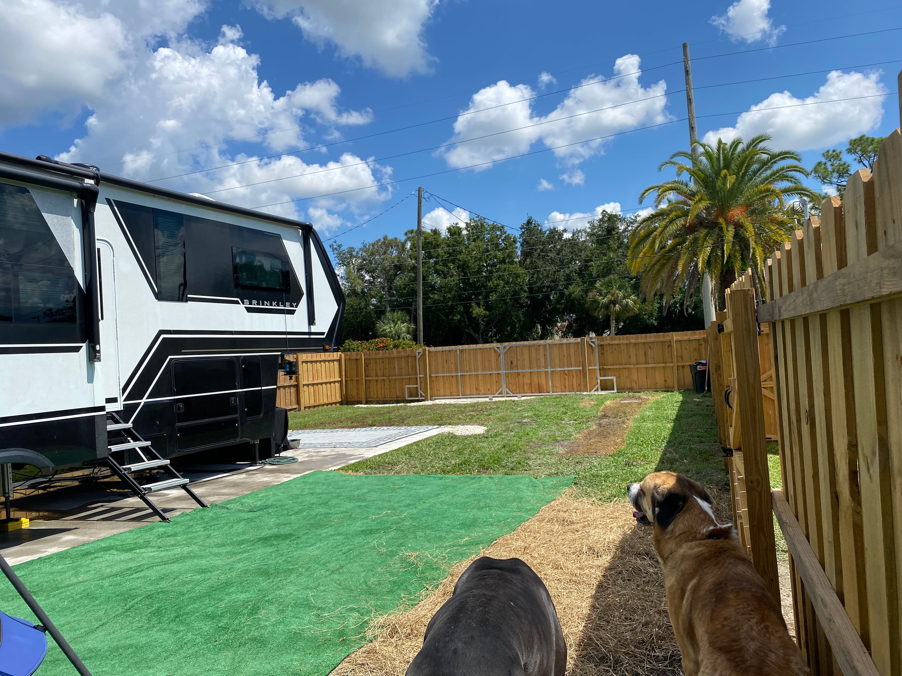 Brainy And Footsy Beach Pad