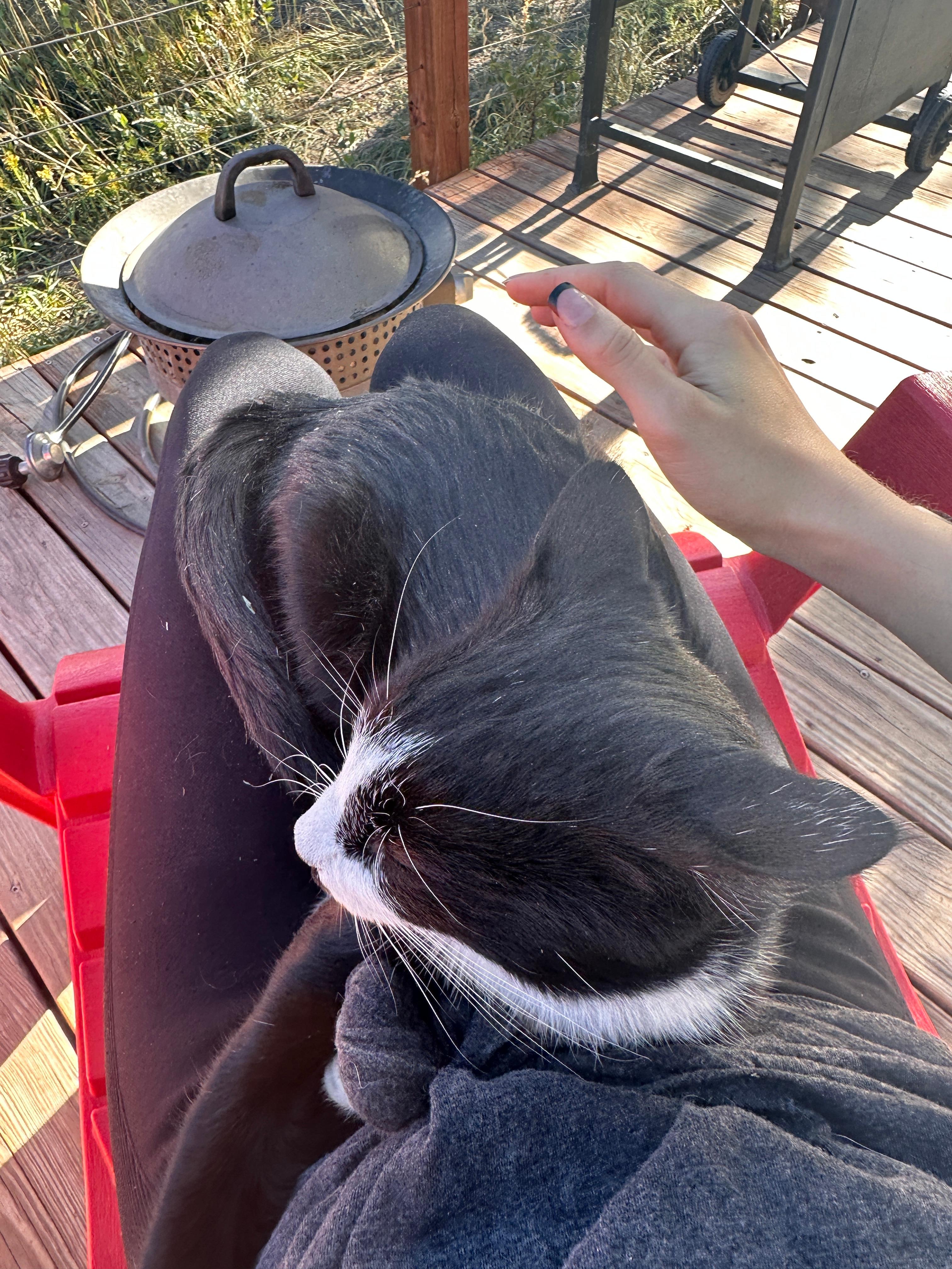 Monument Creek Glamping