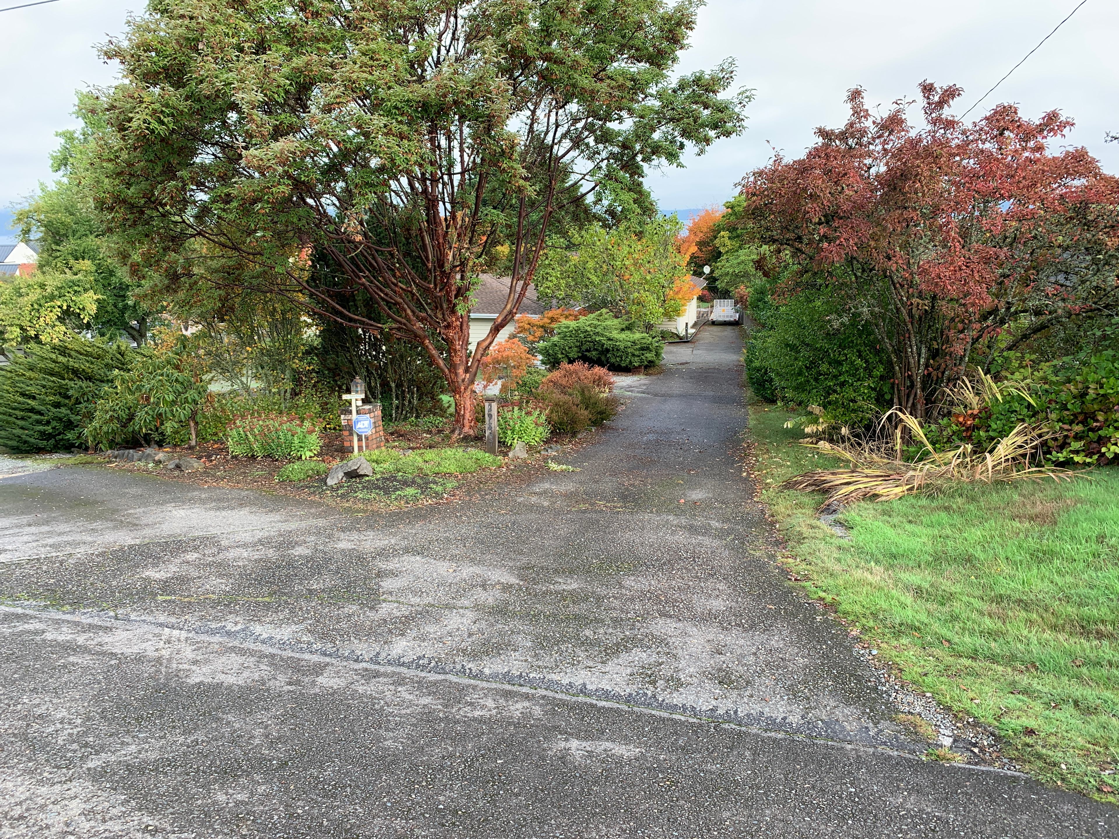 Entrance from the road. You go left here.  