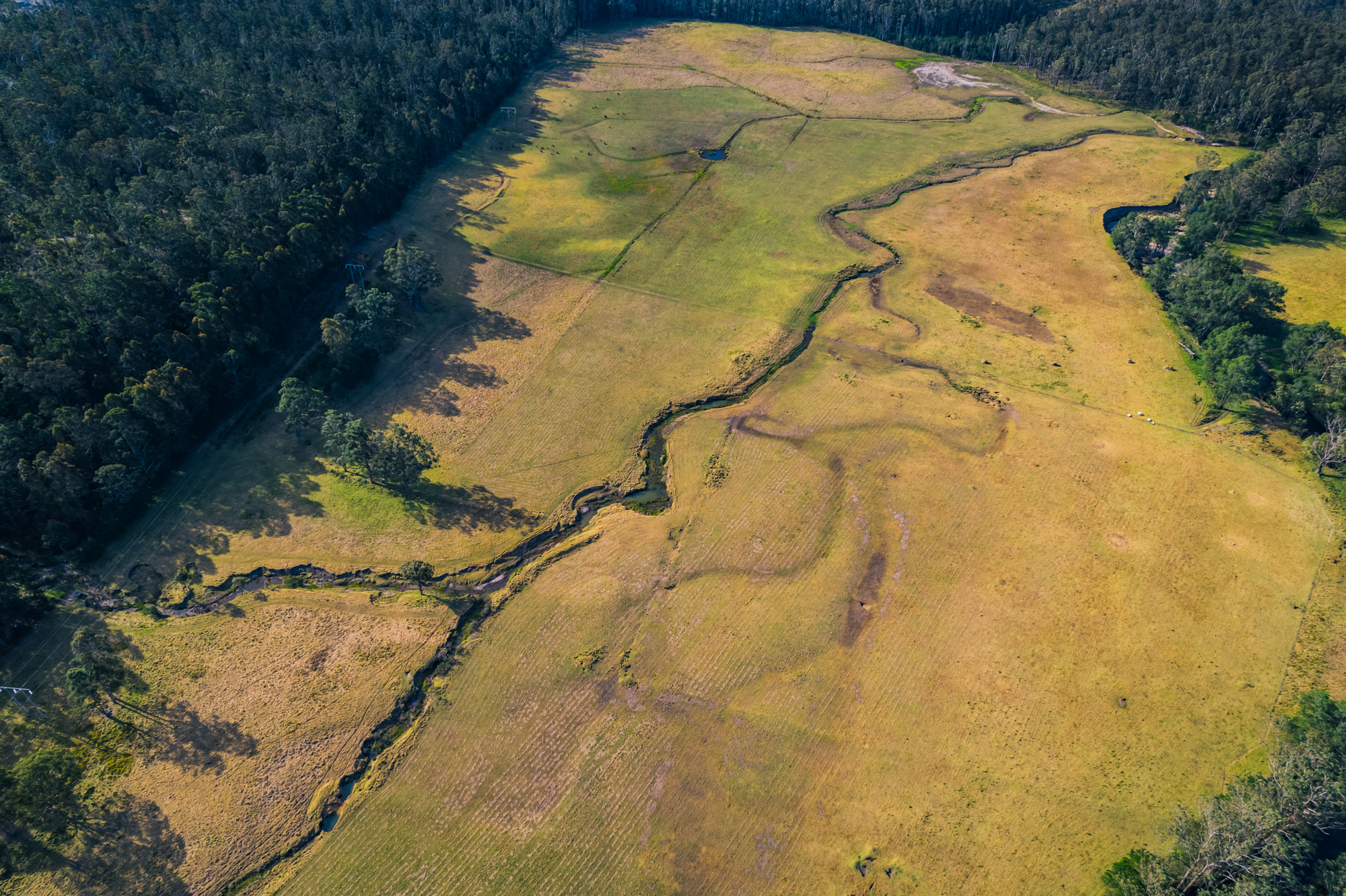 birds eye view of the surrounds