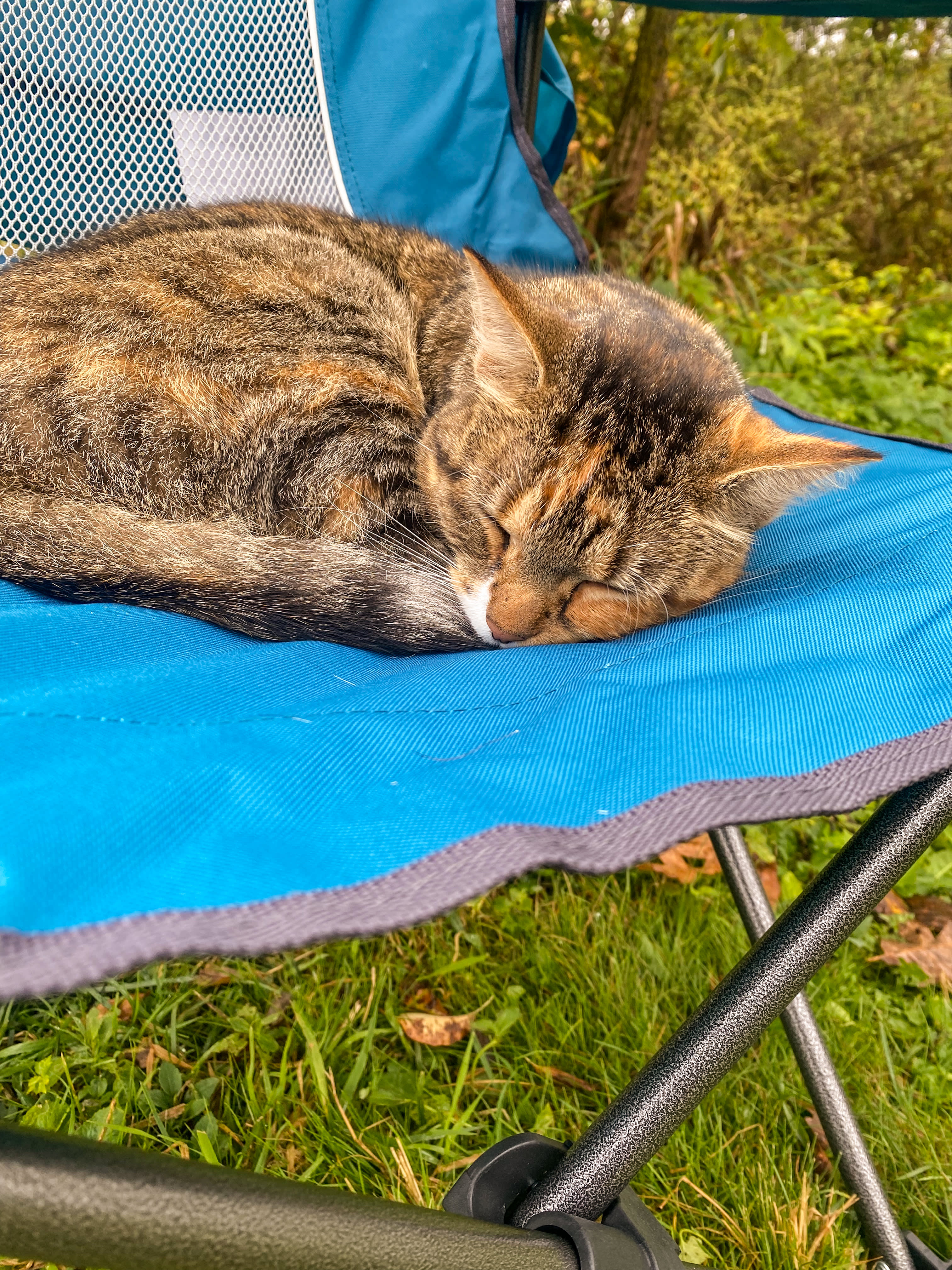 Pink River Ranch in the Driftless