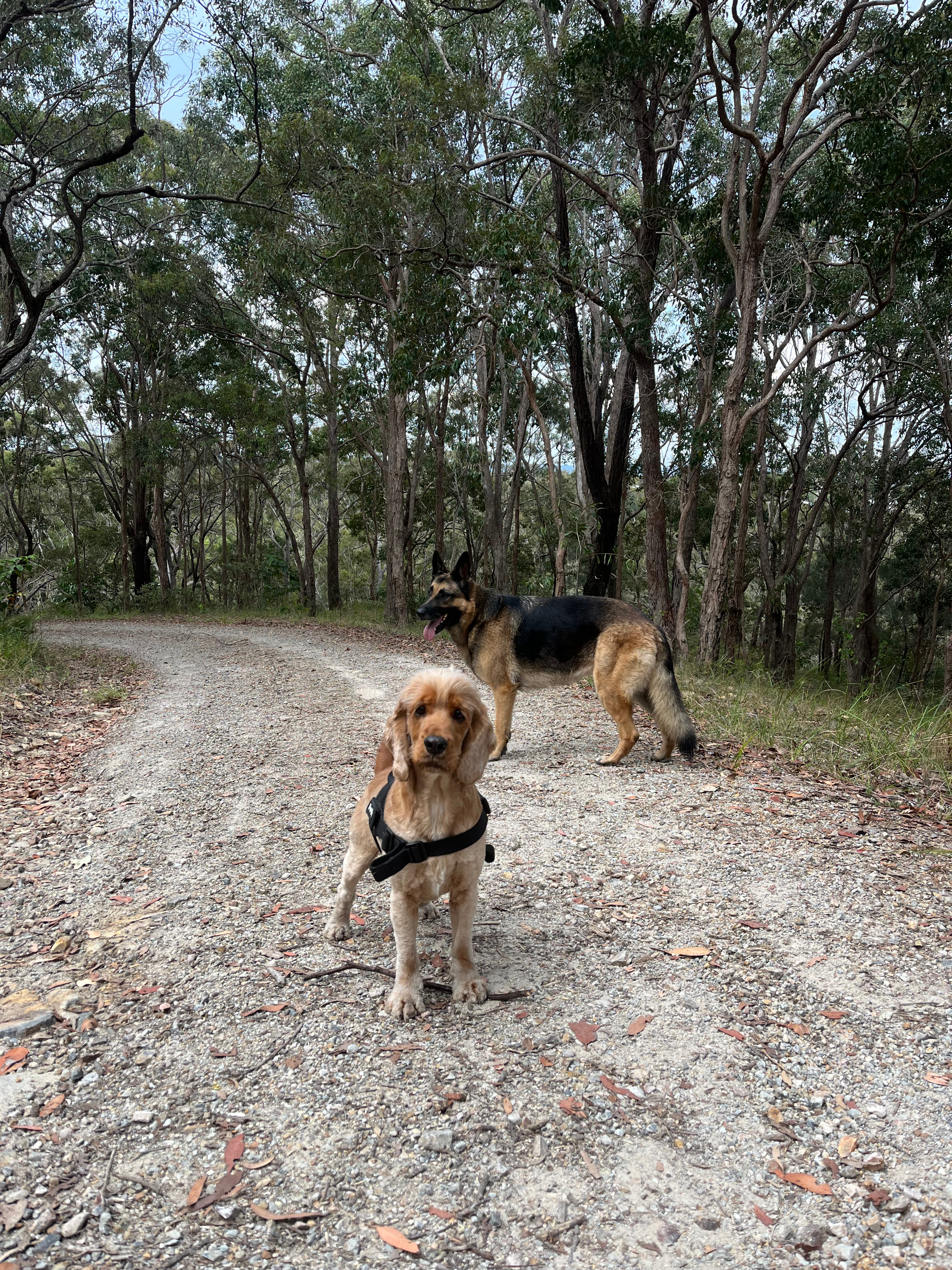 Cabarita Beach Station