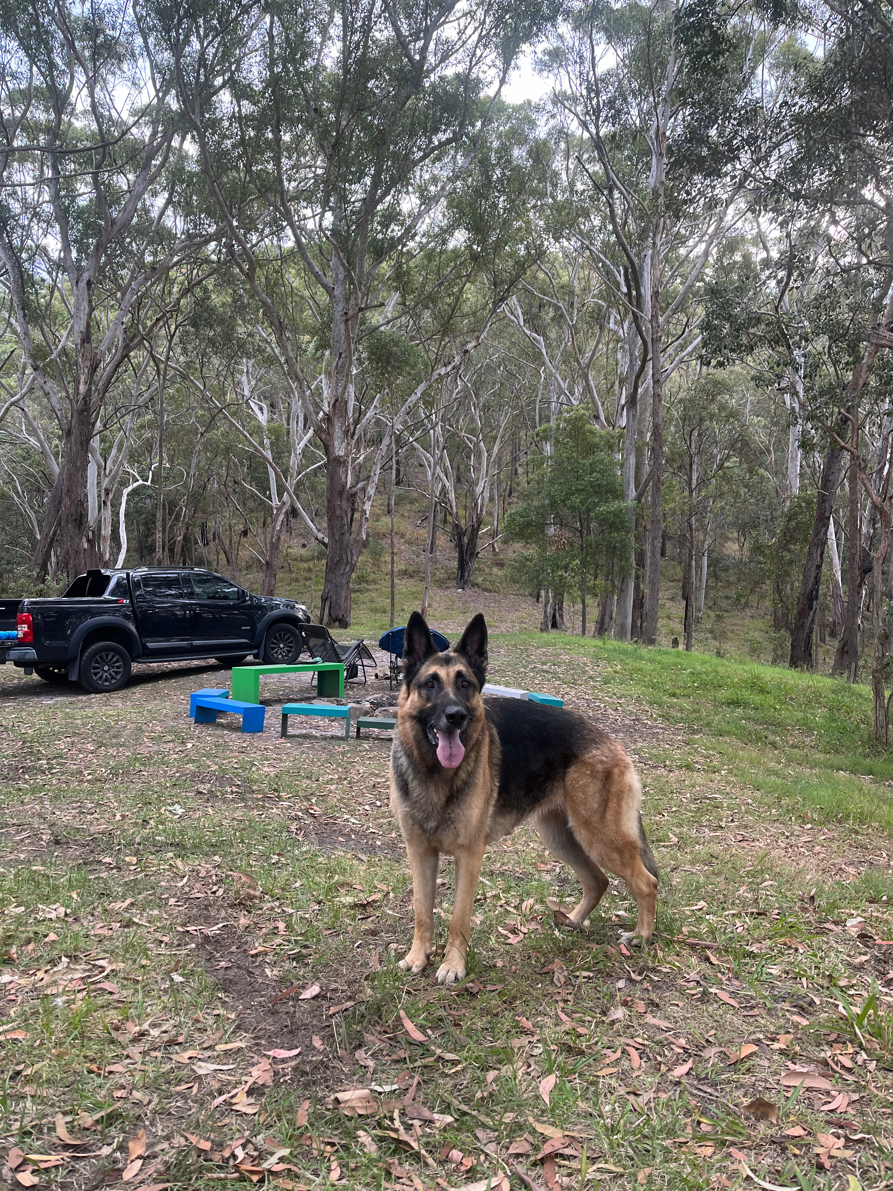 Cabarita Beach Station