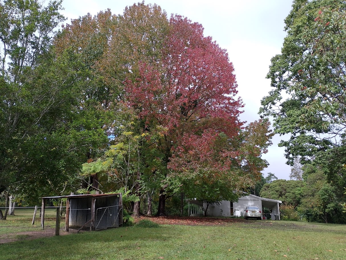 Valery Horse Stayz  Mid North Coast