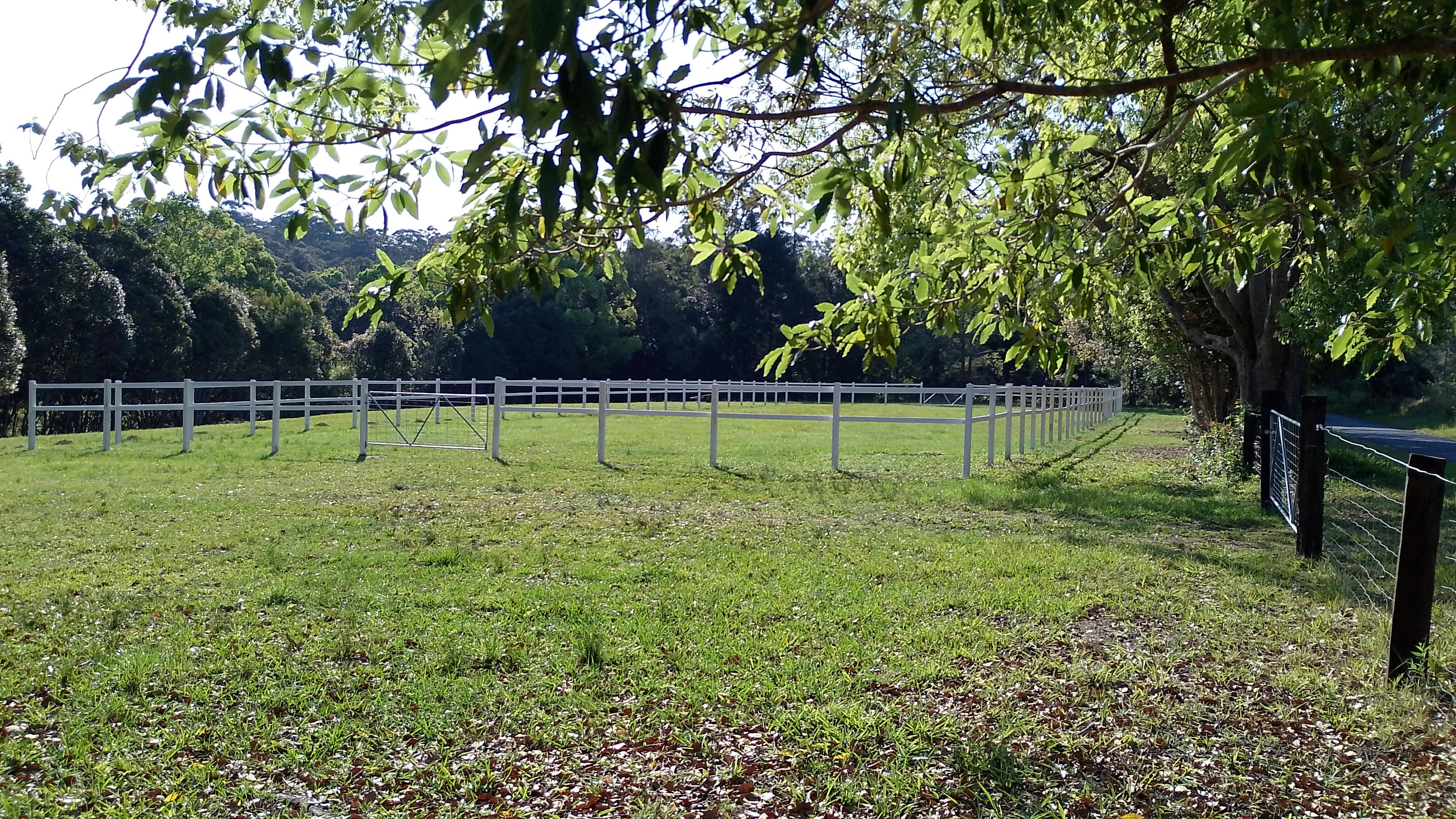 Valery Horse Stayz  Mid North Coast