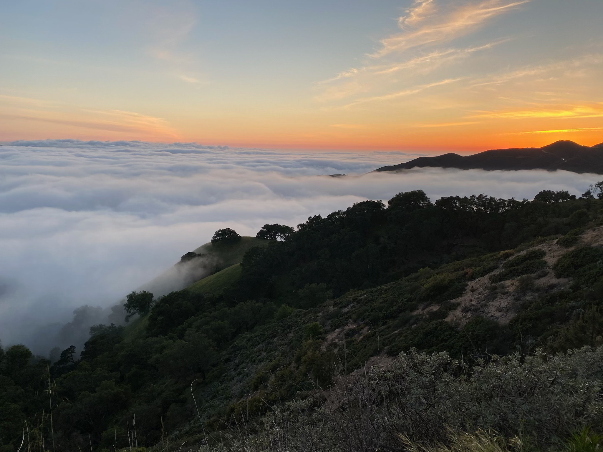Mt Rancho (FKA La Montaña Ranch)
