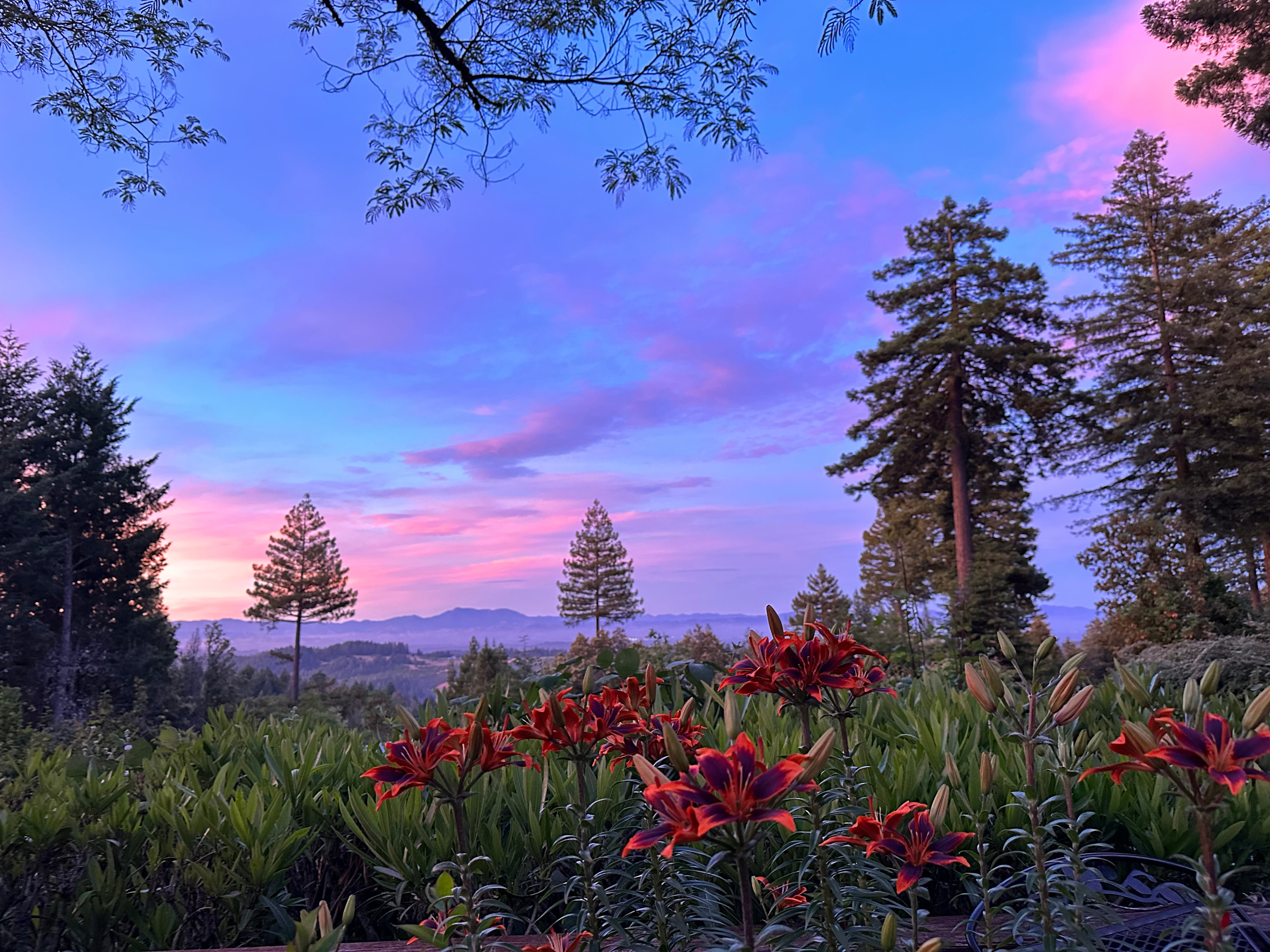 Views of Mount Saint Helena from the hot tub! 