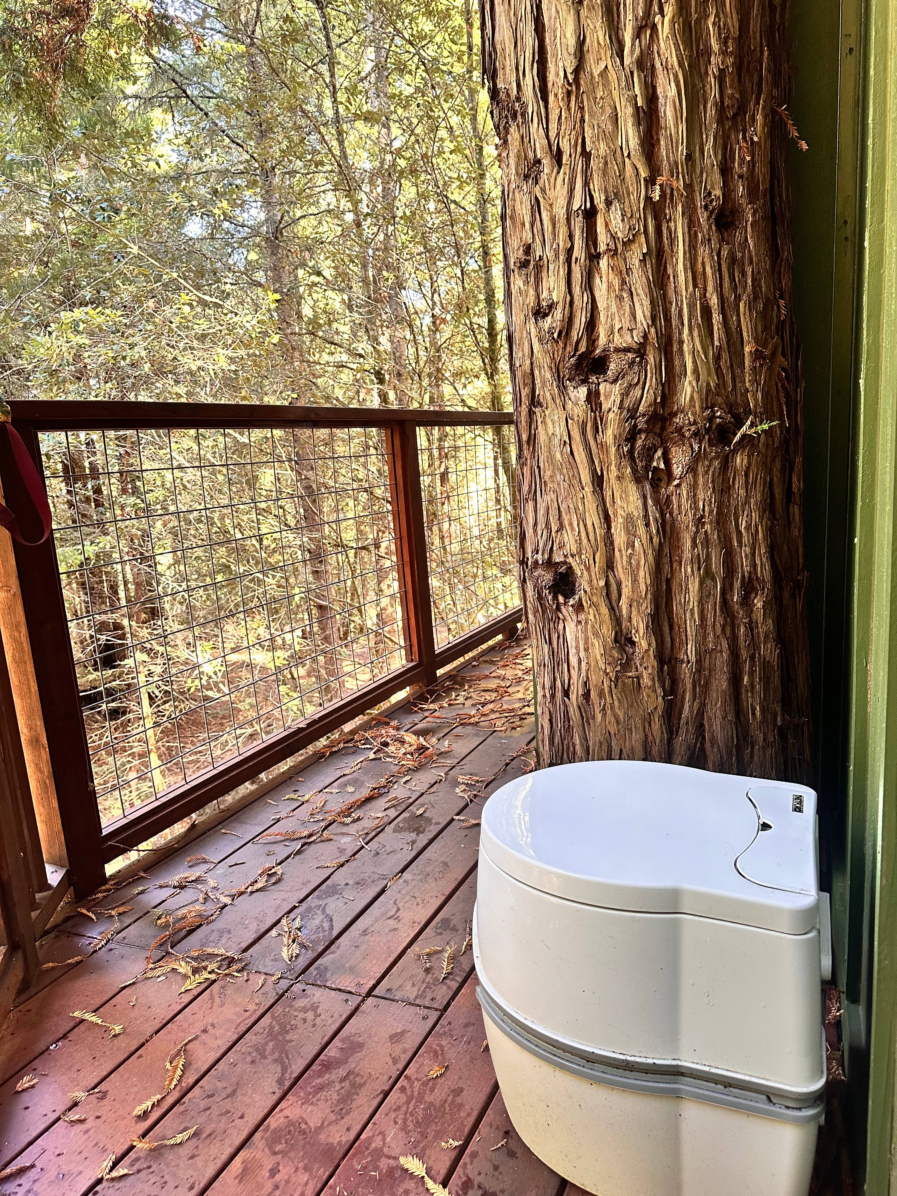 Moon Bear Lodge