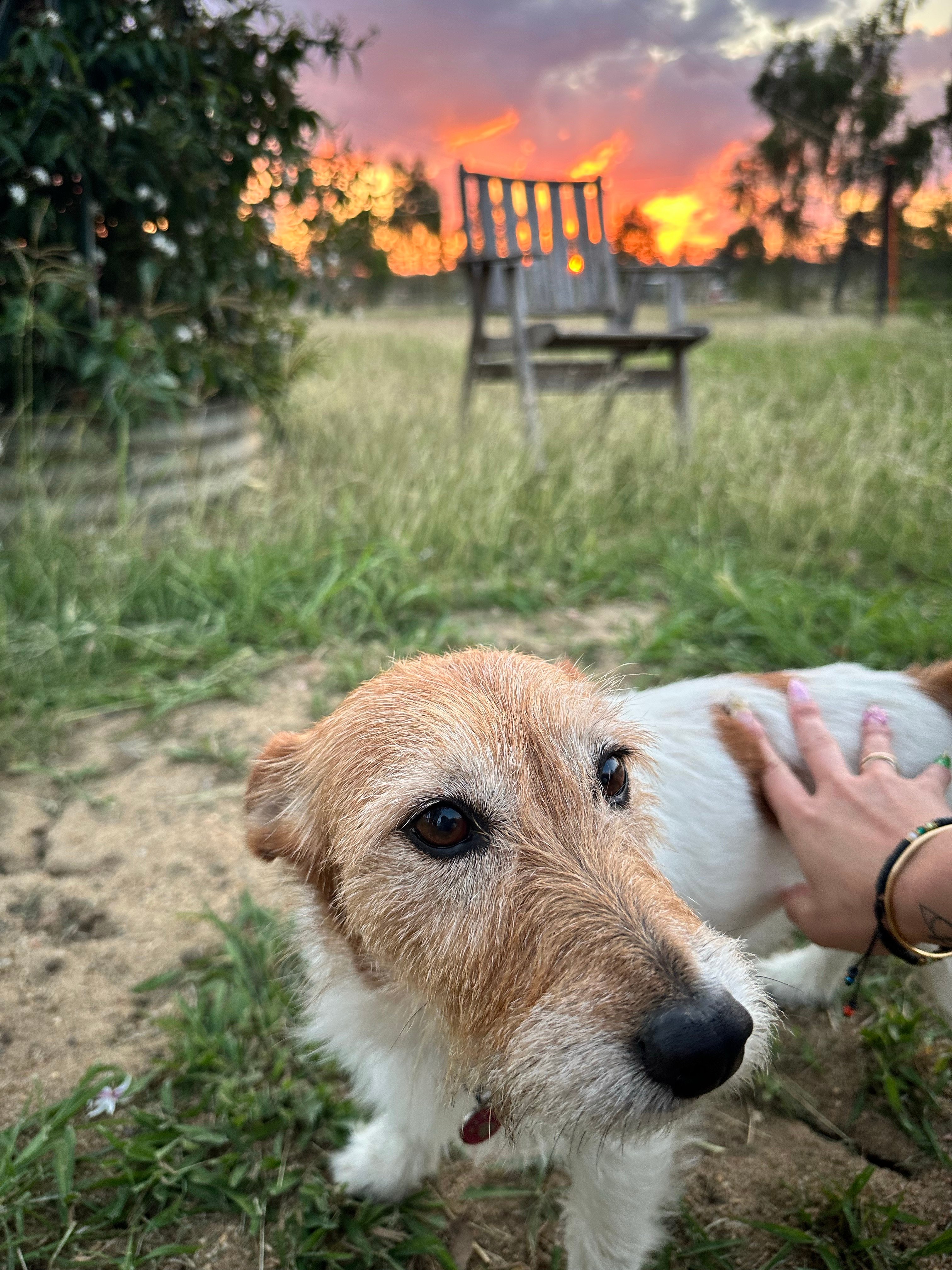 Laurel Bank Farm laurel-bank.com.au