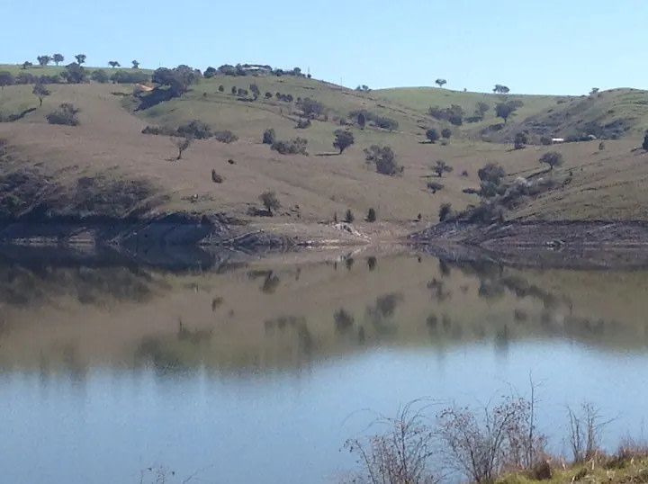 Amazing Views Pet Friendly Bed & Breakfast